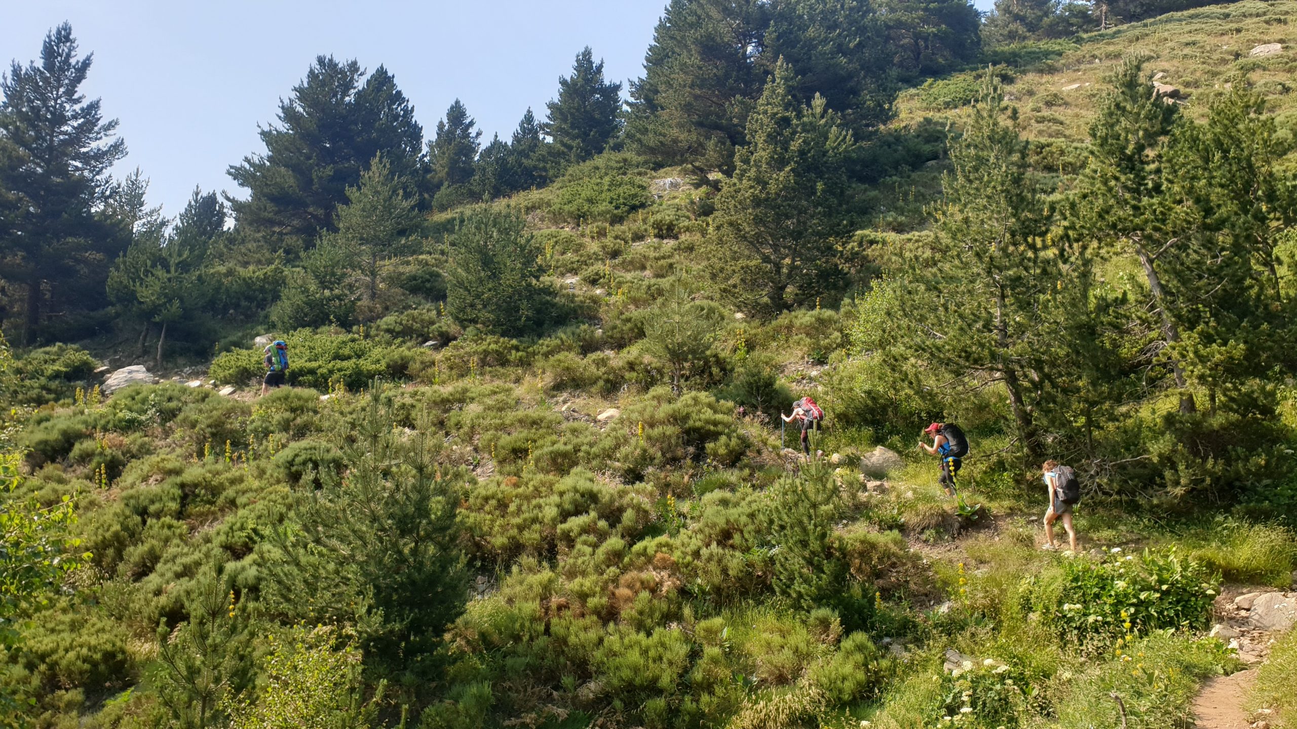 canigou par le refuge de mariailles
