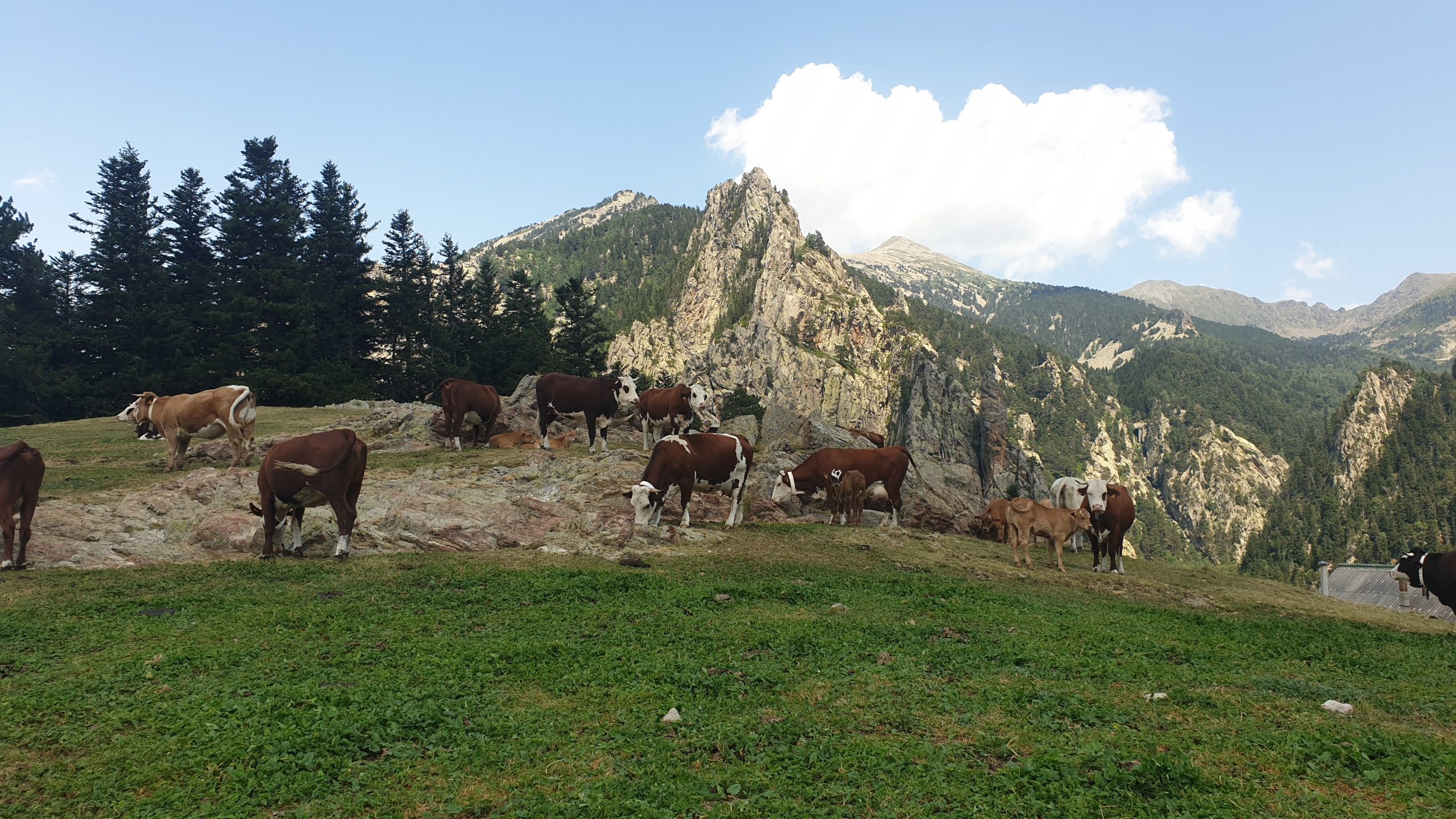 refuge de mariailles canigou pyrénées orientales