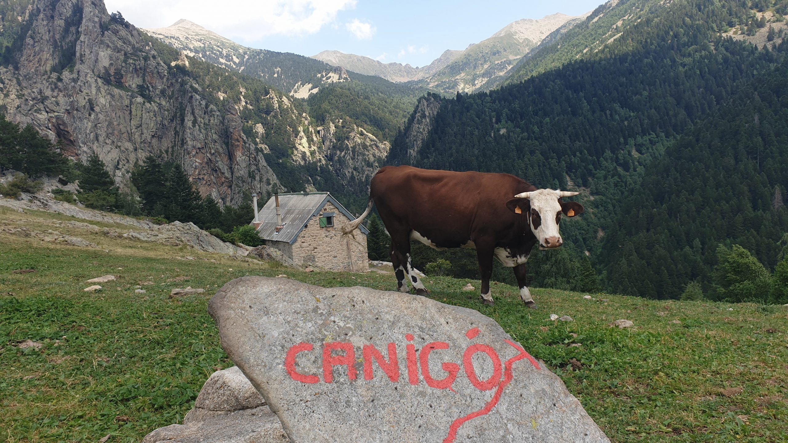 refuge de mariailles canigou