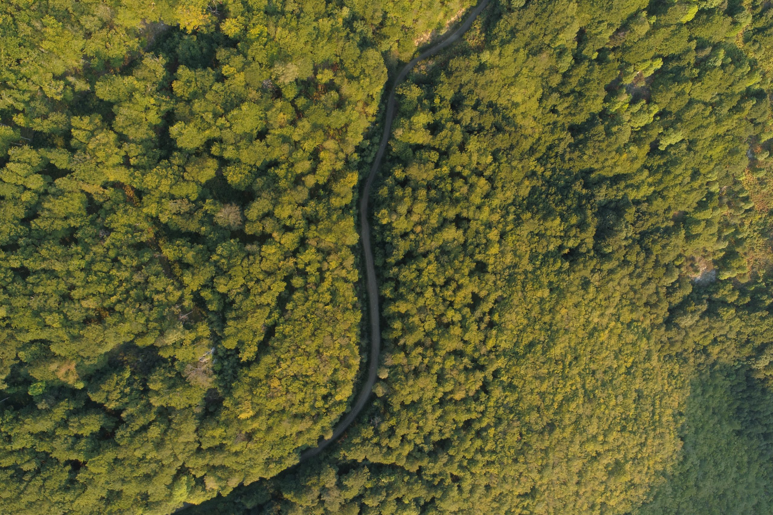 route du haut vallespir en pyrénées-orientales