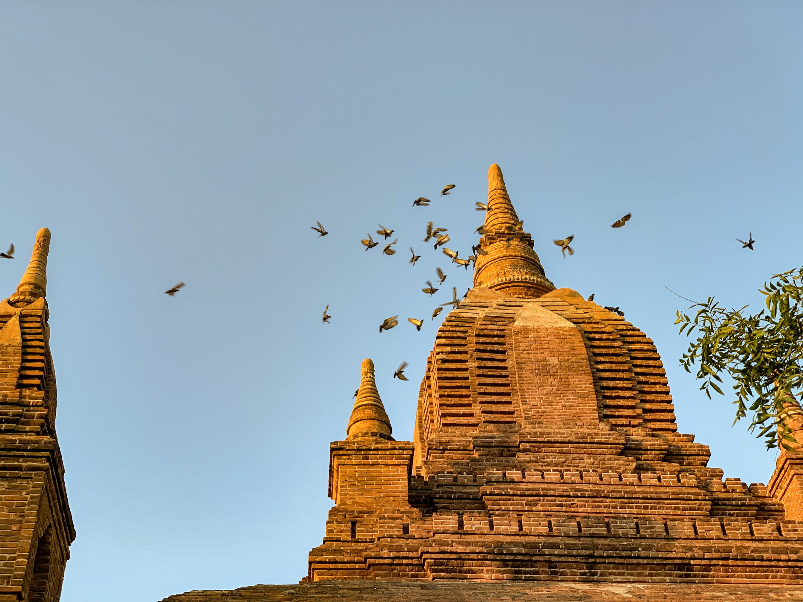 Coucher de soleil à Bagan