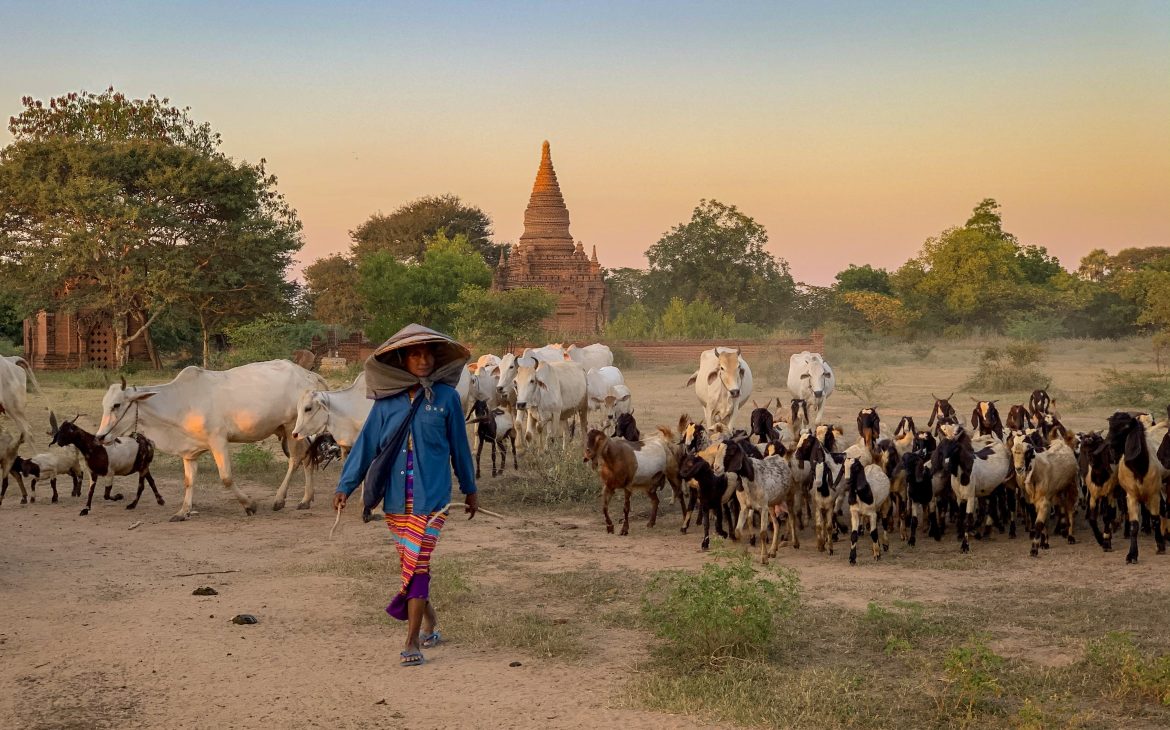 visiter le myanmar