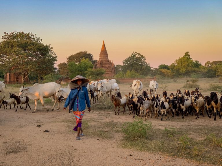 visiter le myanmar