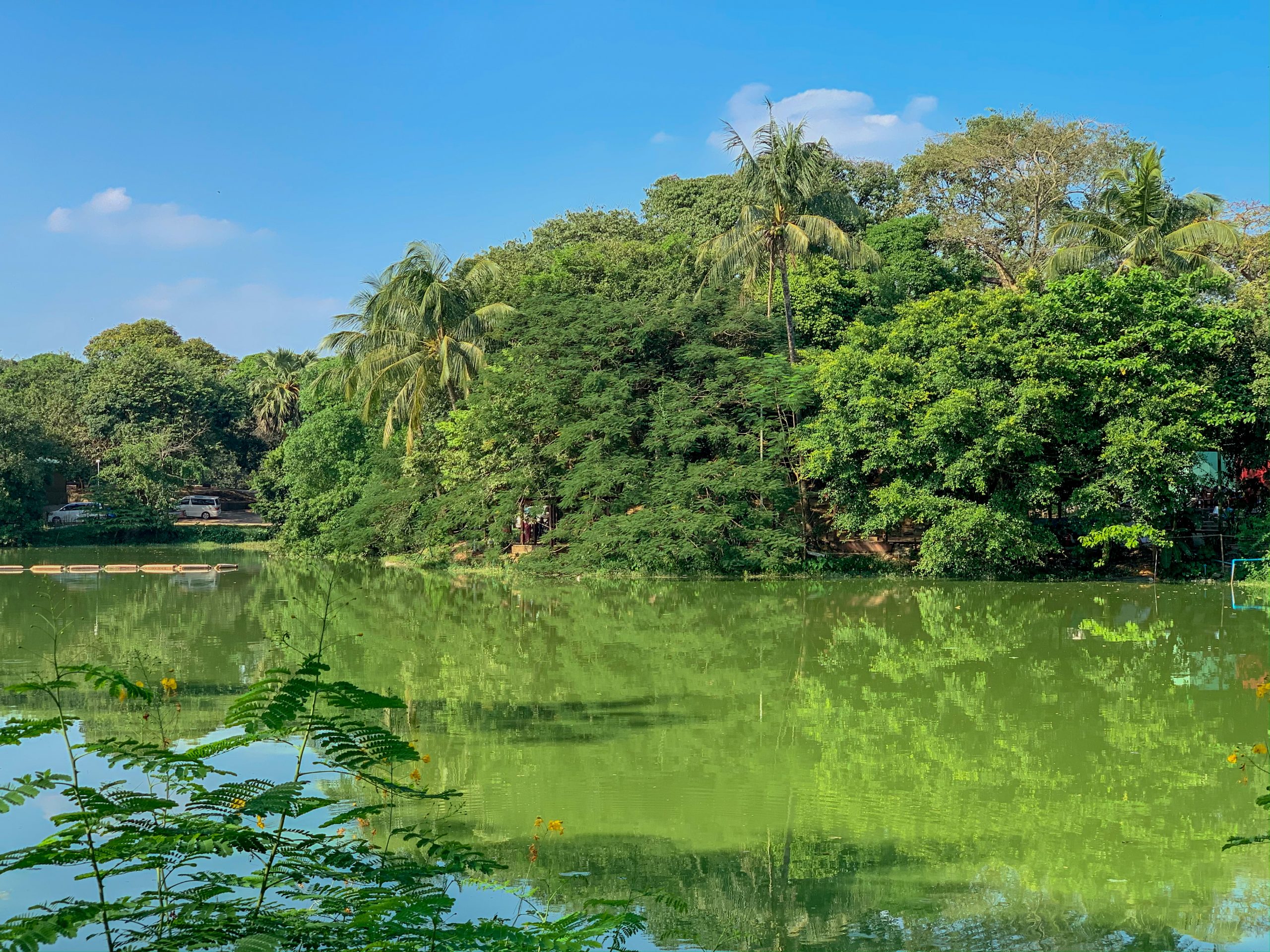 Le Lac Kandawgyi