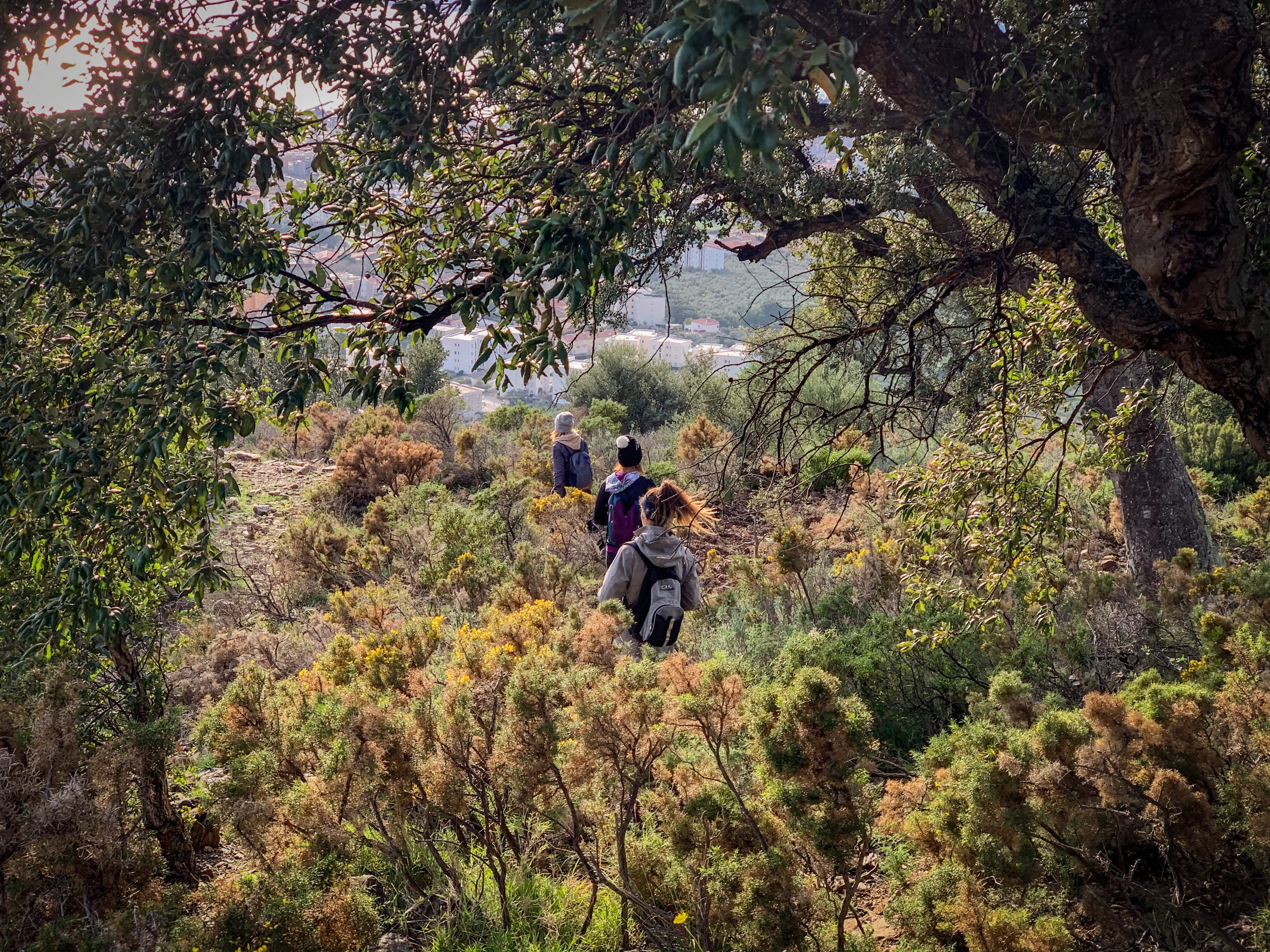 sentier randonnée rosas