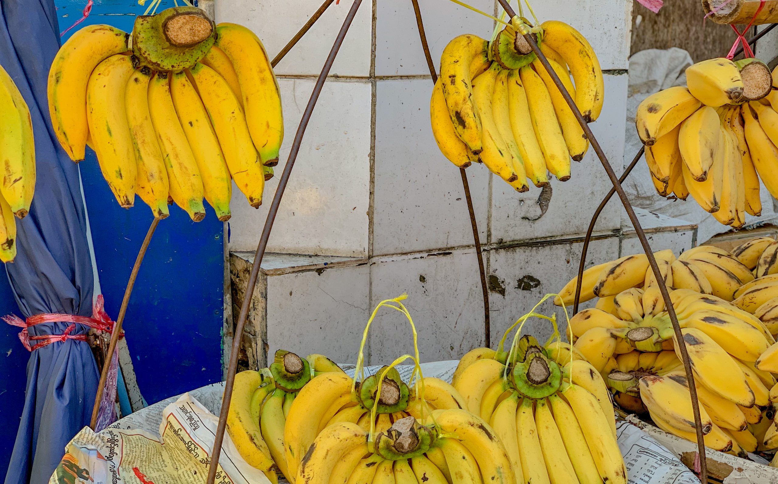 bananes yangon