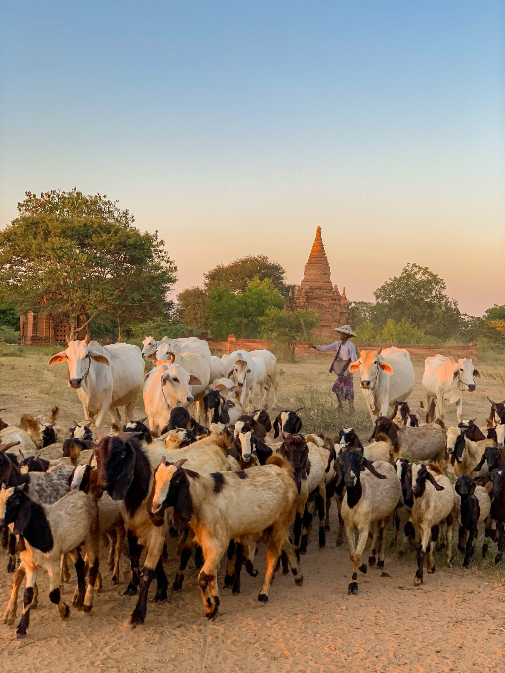 bagan authentique blog kiki mag travel