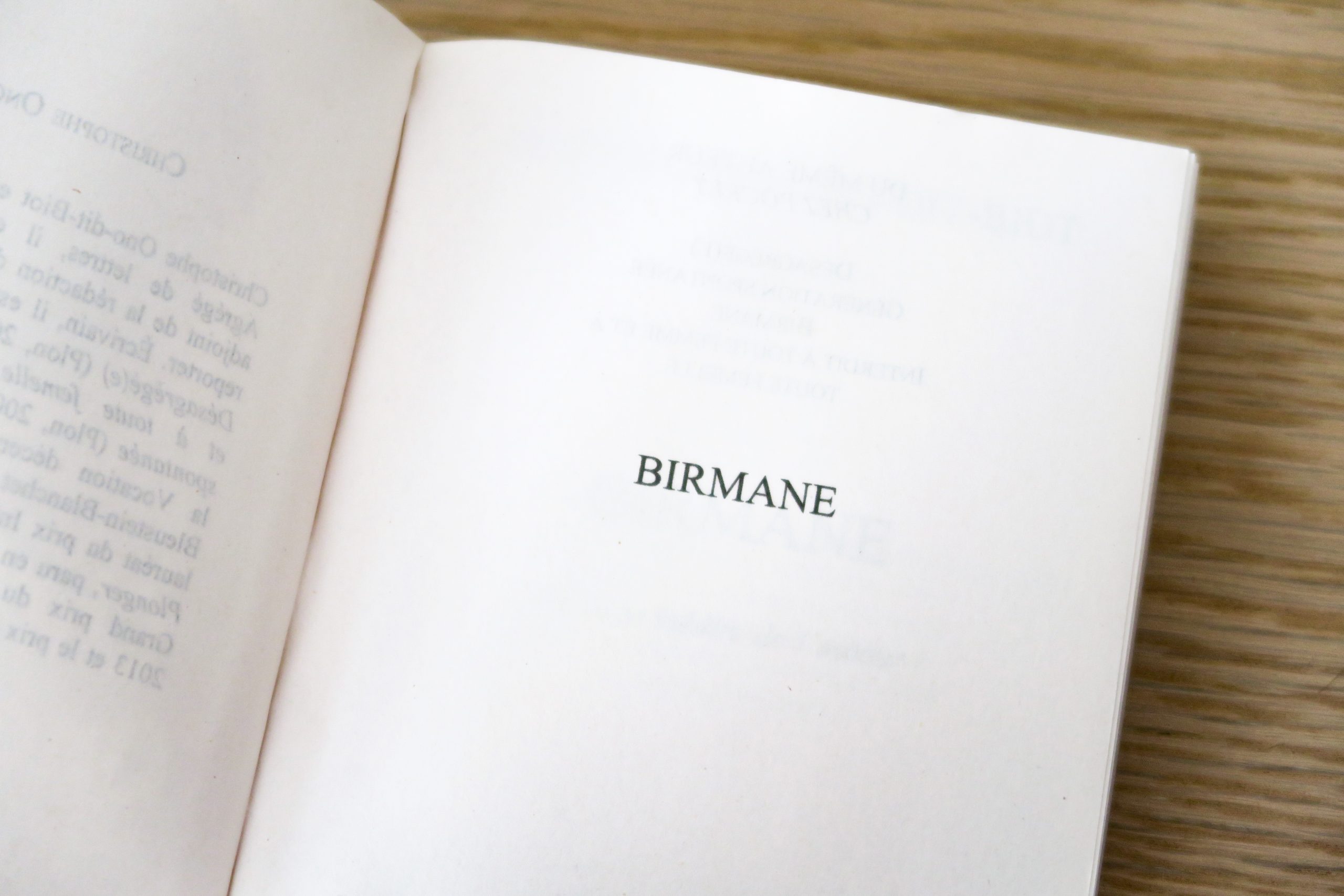 birmane idées de livres pour voyager
