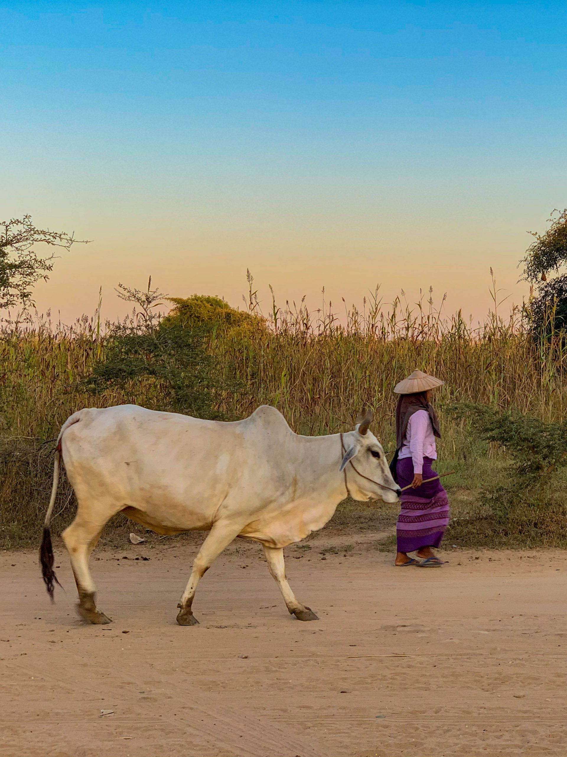 rencontres à bagan myanmar