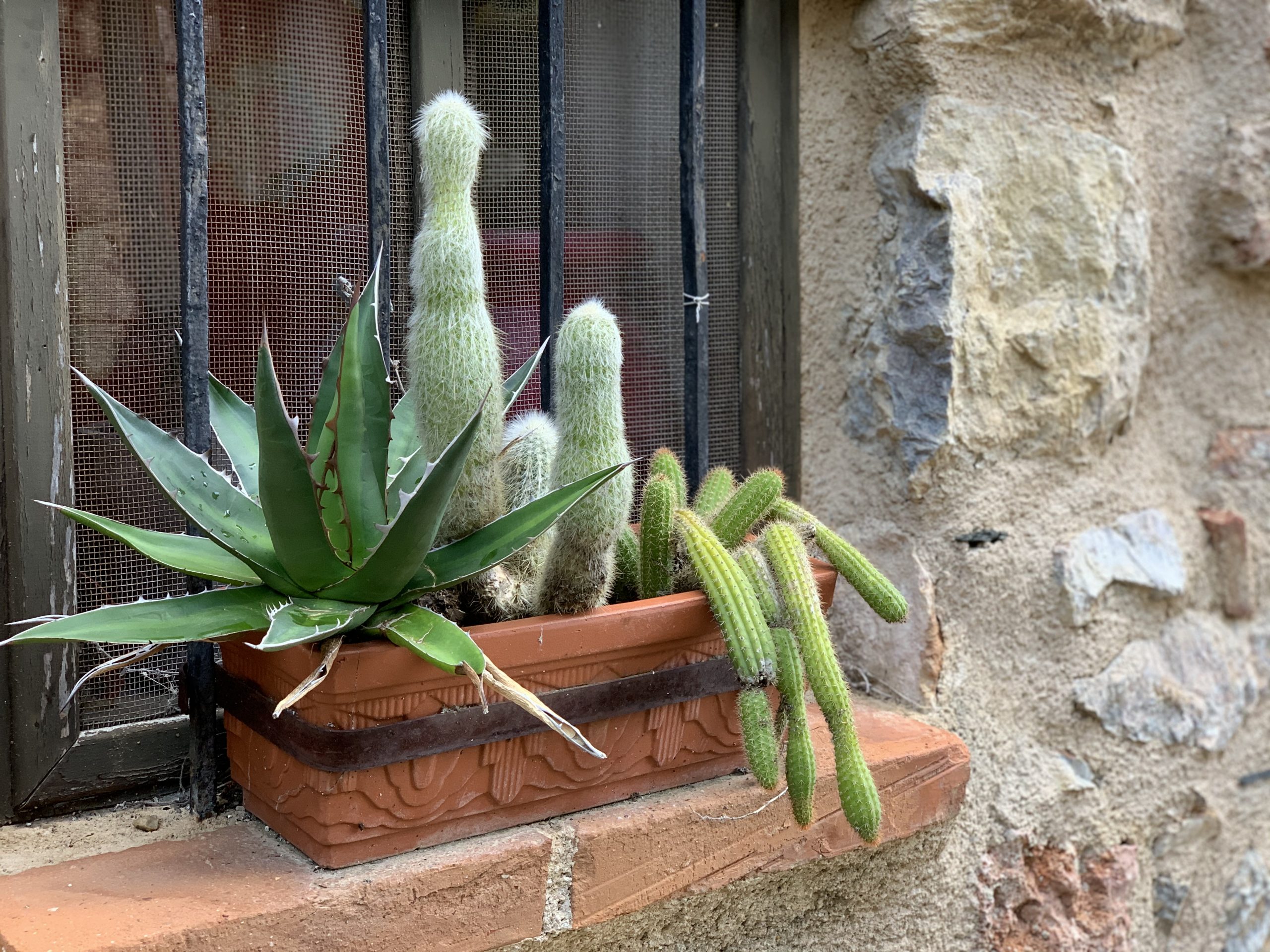 balade photographique à castelnou
