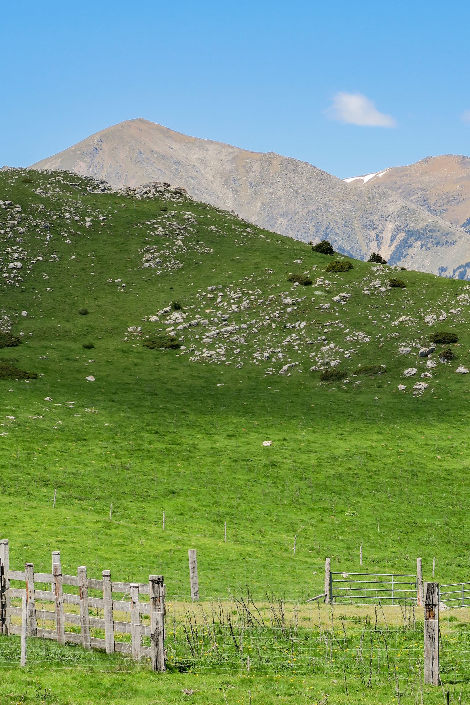 reliefs du haut vallespir