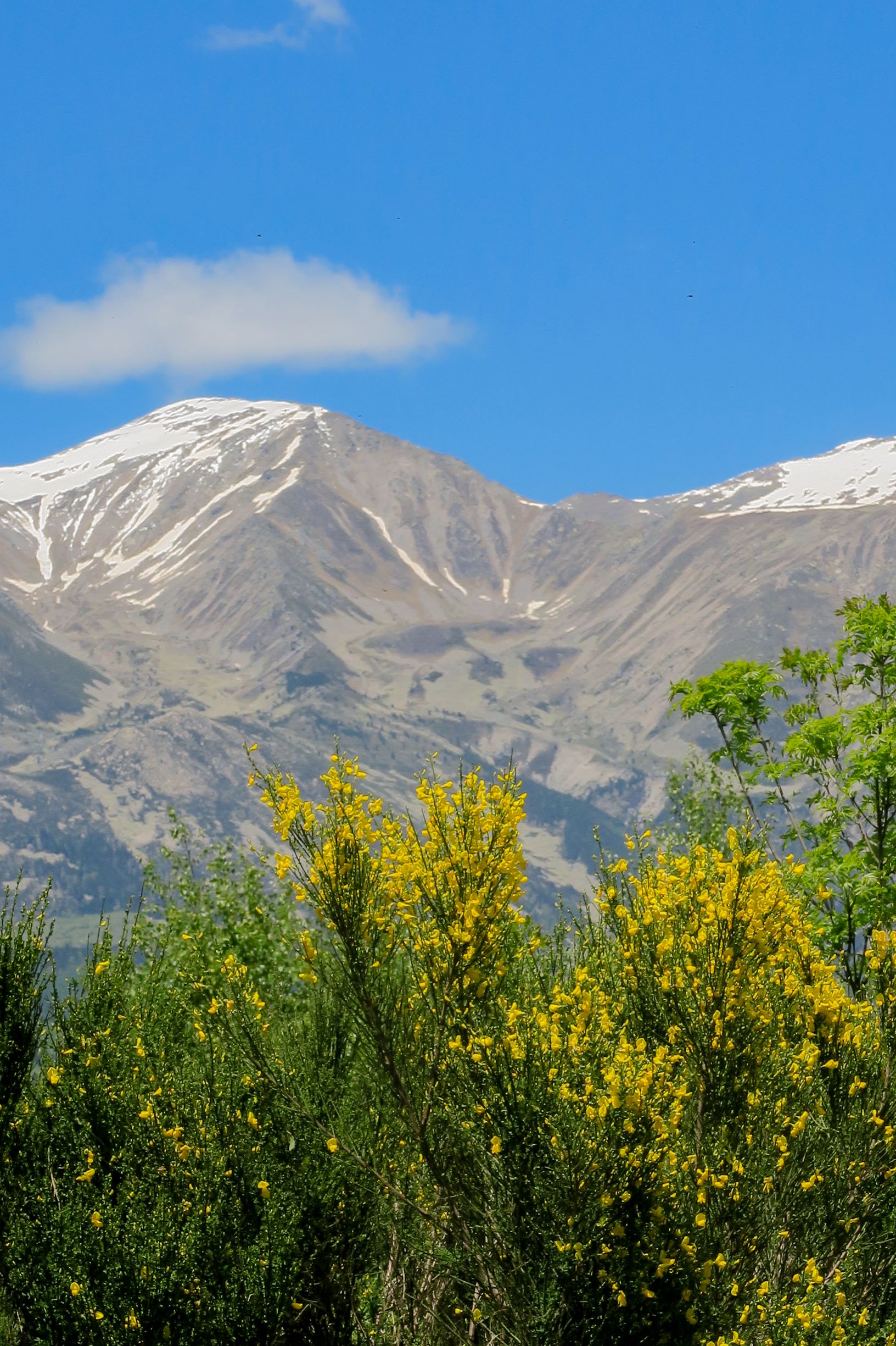 vue sur le massif du canigo tour del mir
