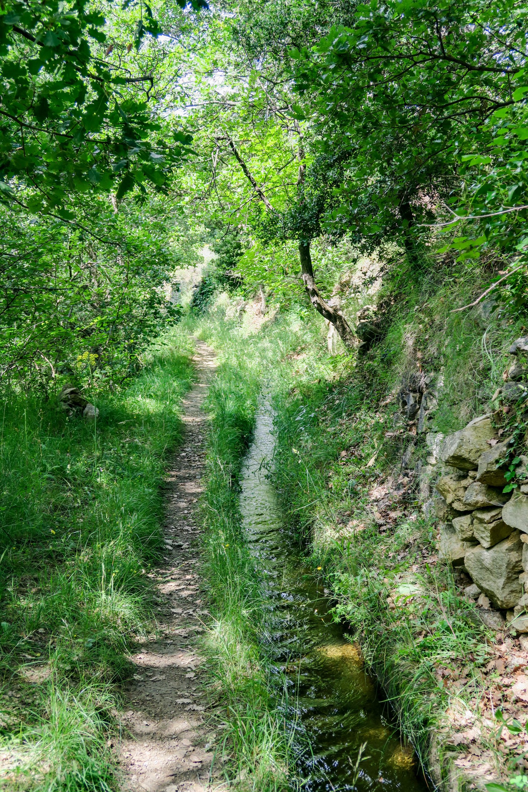 au fil de l'eau de molitg à mosset