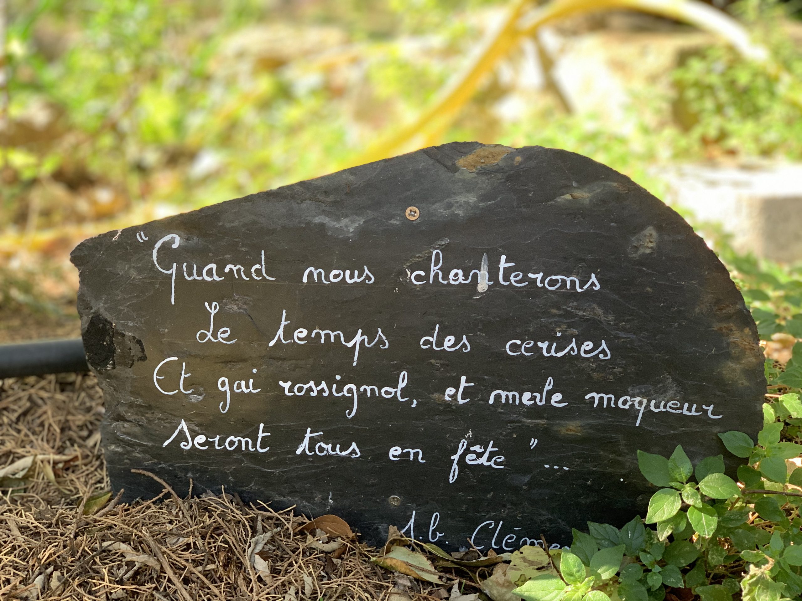 mosset jardin parfumé