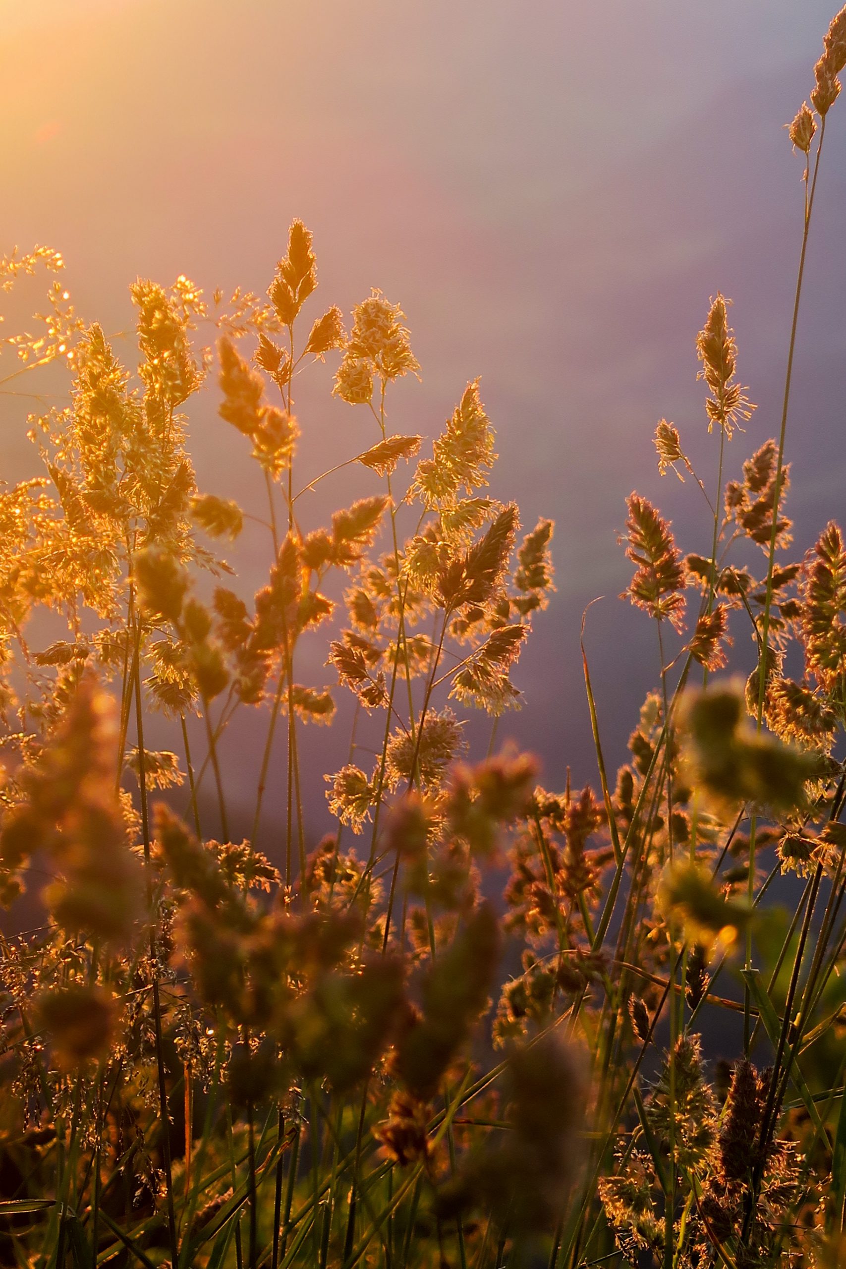lever de soleil pratz vechin arpettaz