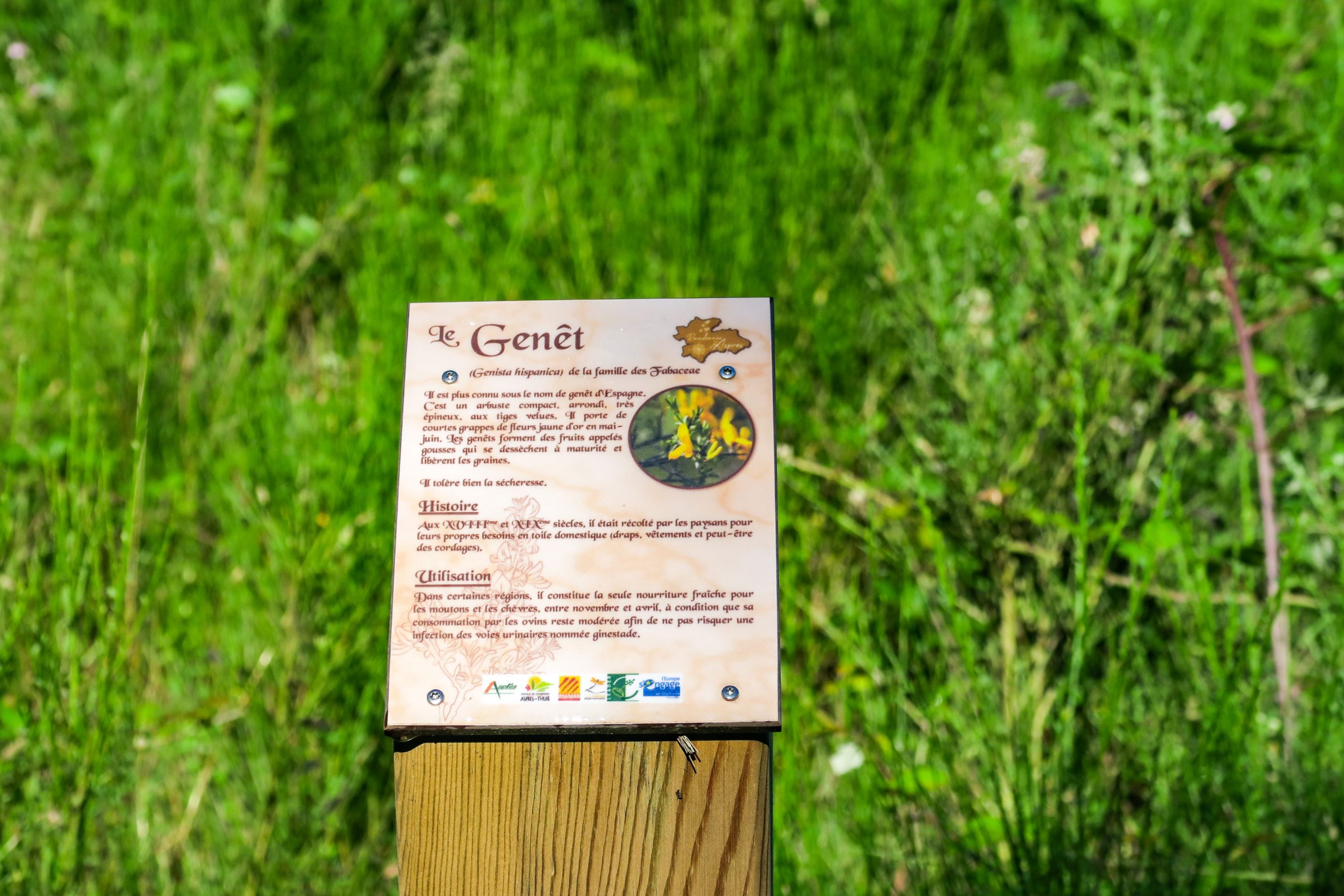 parcours botanique à oms