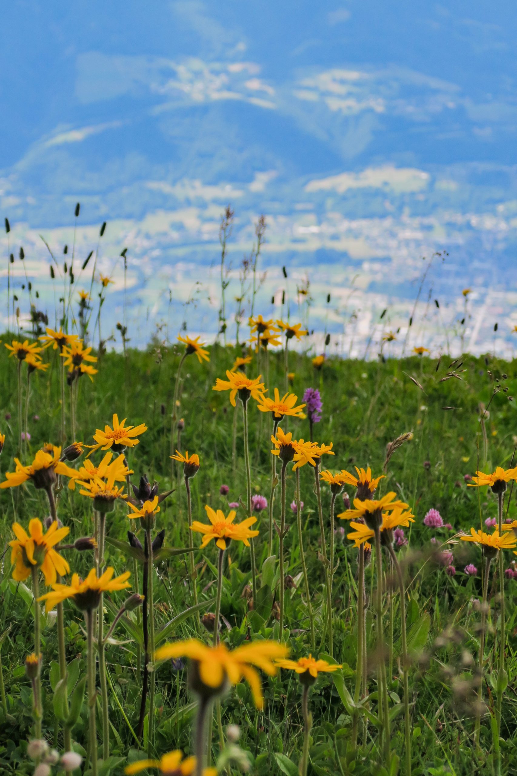pays d'albertville savoie