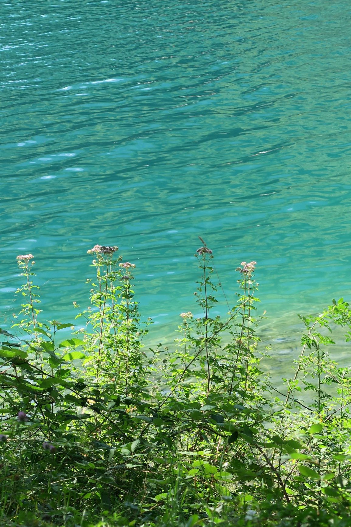 wam park savoie pays albertville