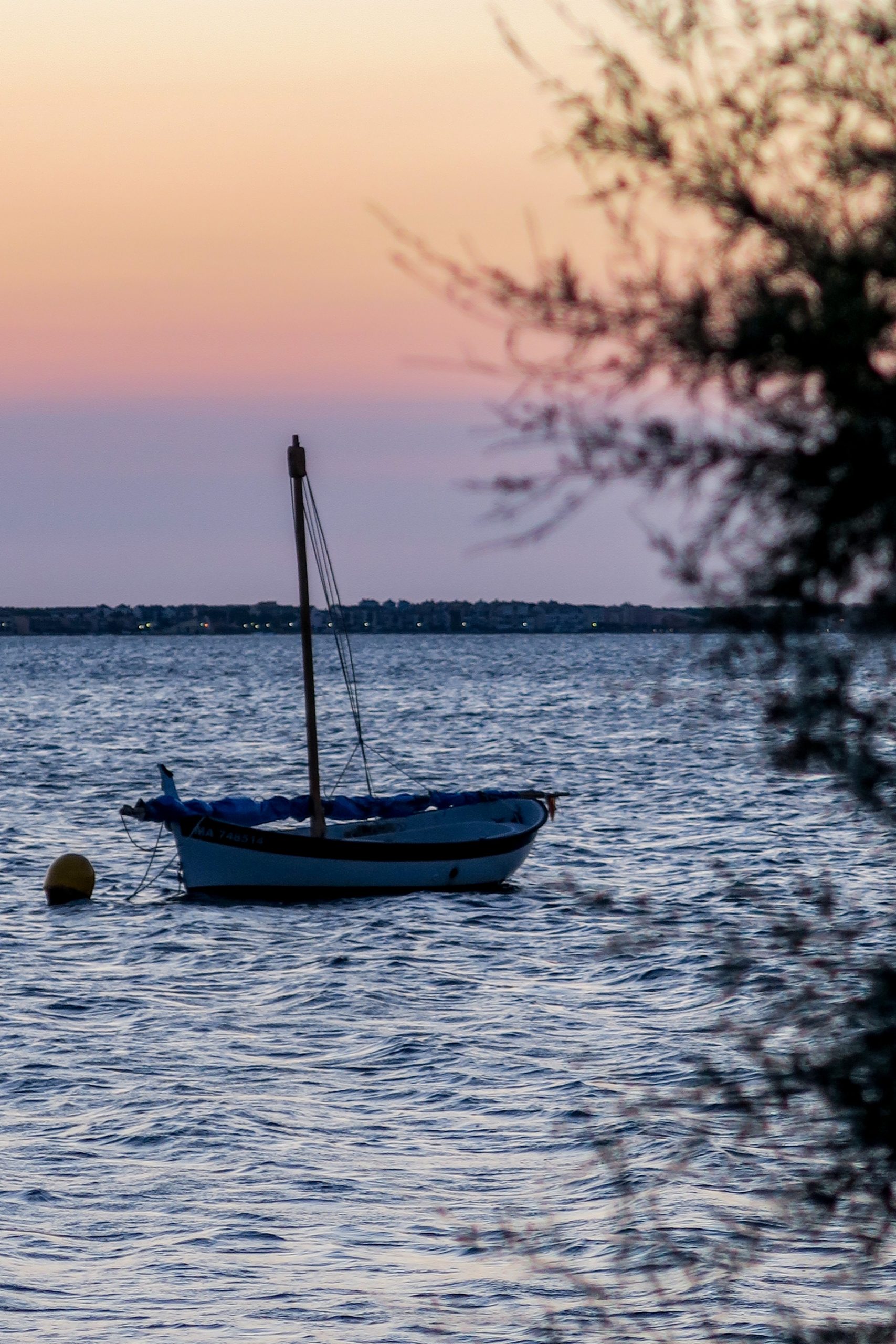 barques de la bonanca pyrénées orientales