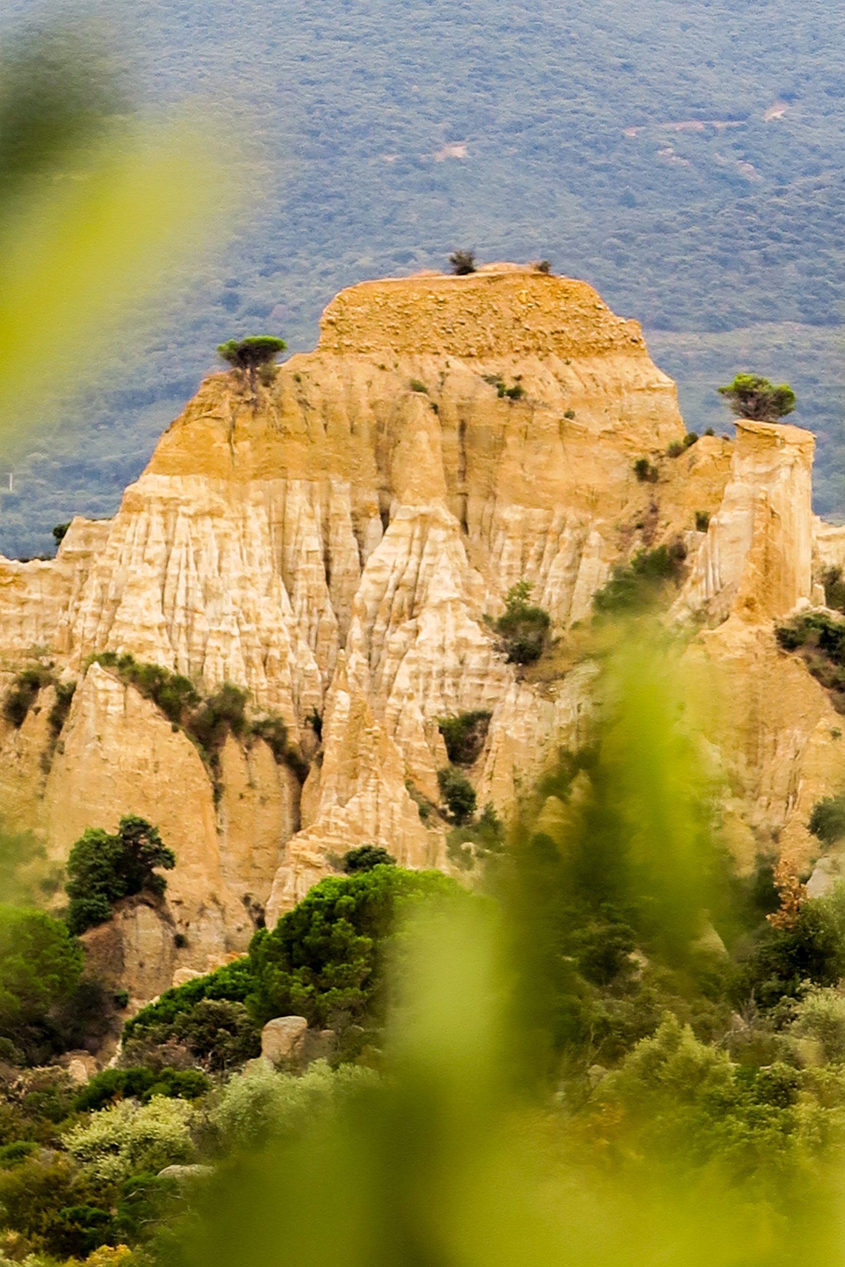 les orgues d'ille sur tet