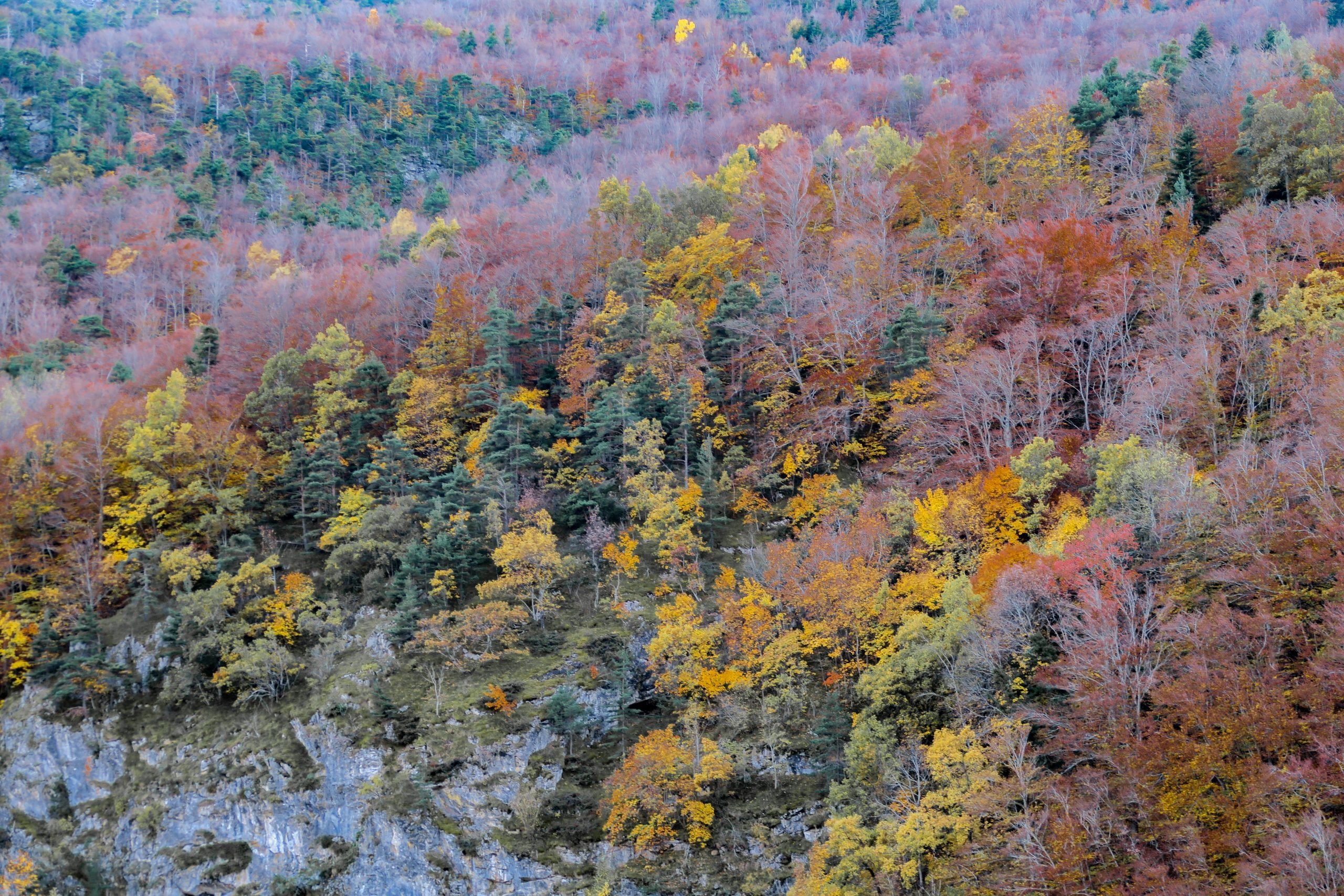 mosset balades faciles en Pyrénées-Orientales