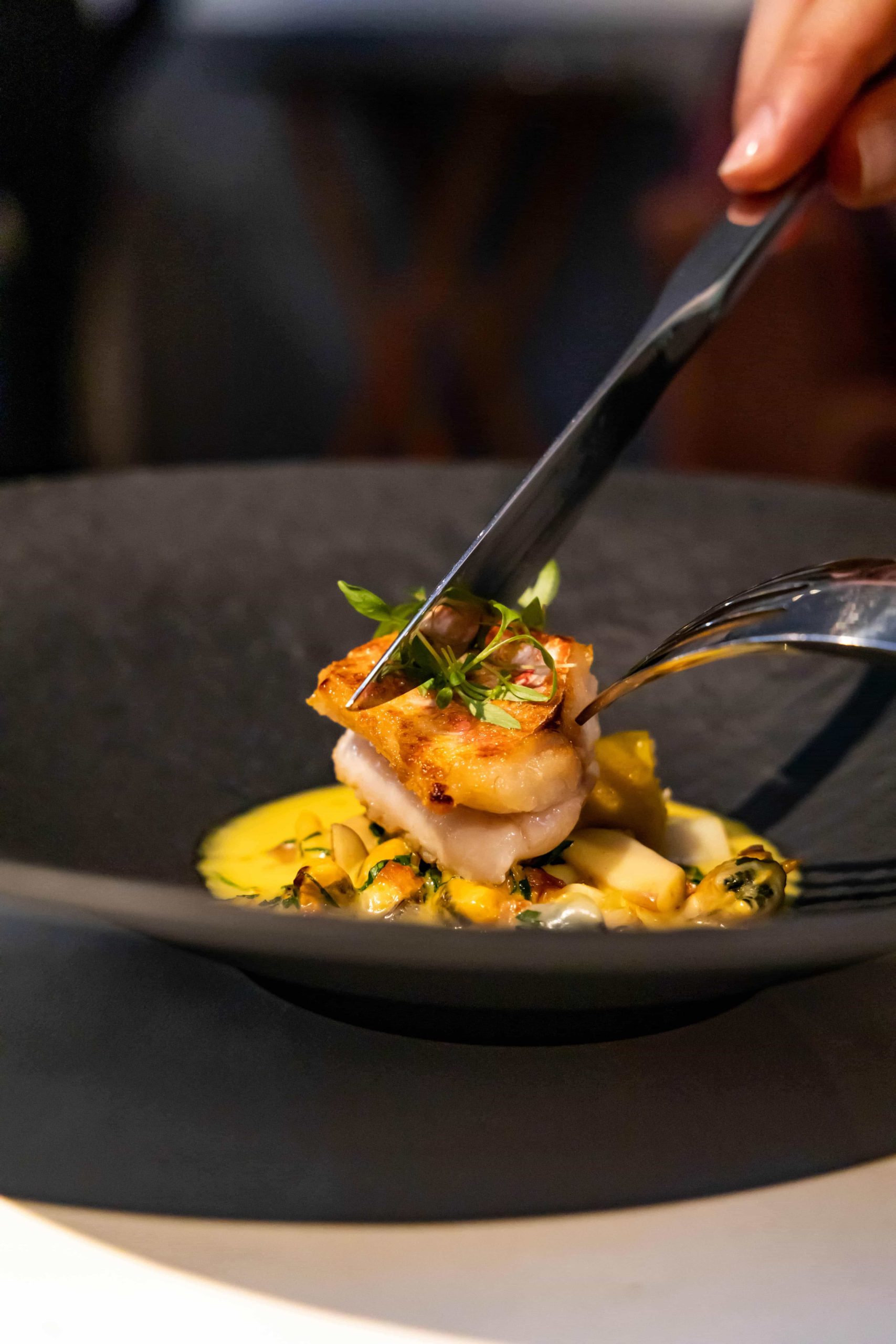restaurant nimes skab