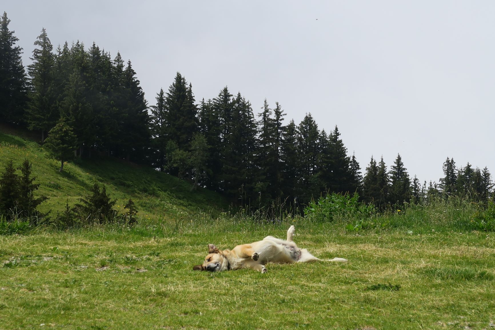 on se la coule douce au refuge de la thuile