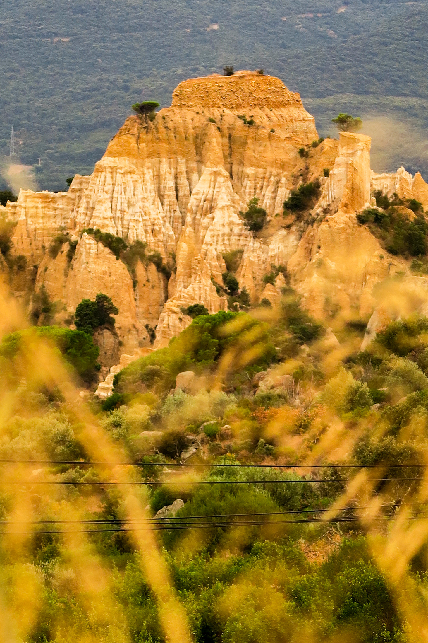 visiter les orgues d'ille sur tet