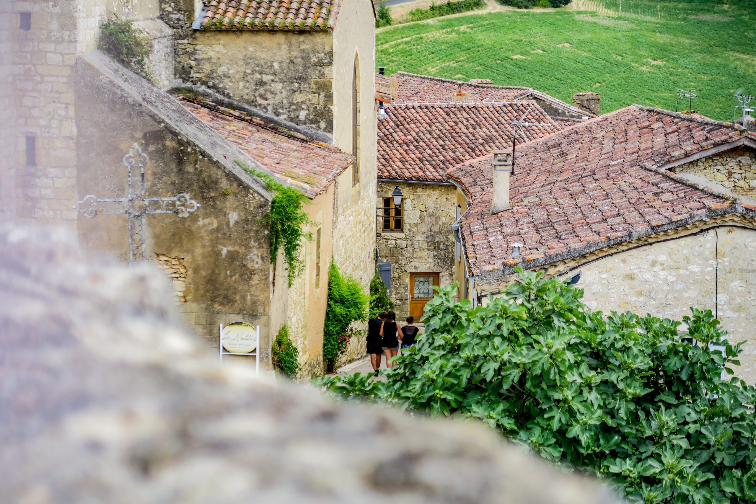 vue depuis le château de lavardens