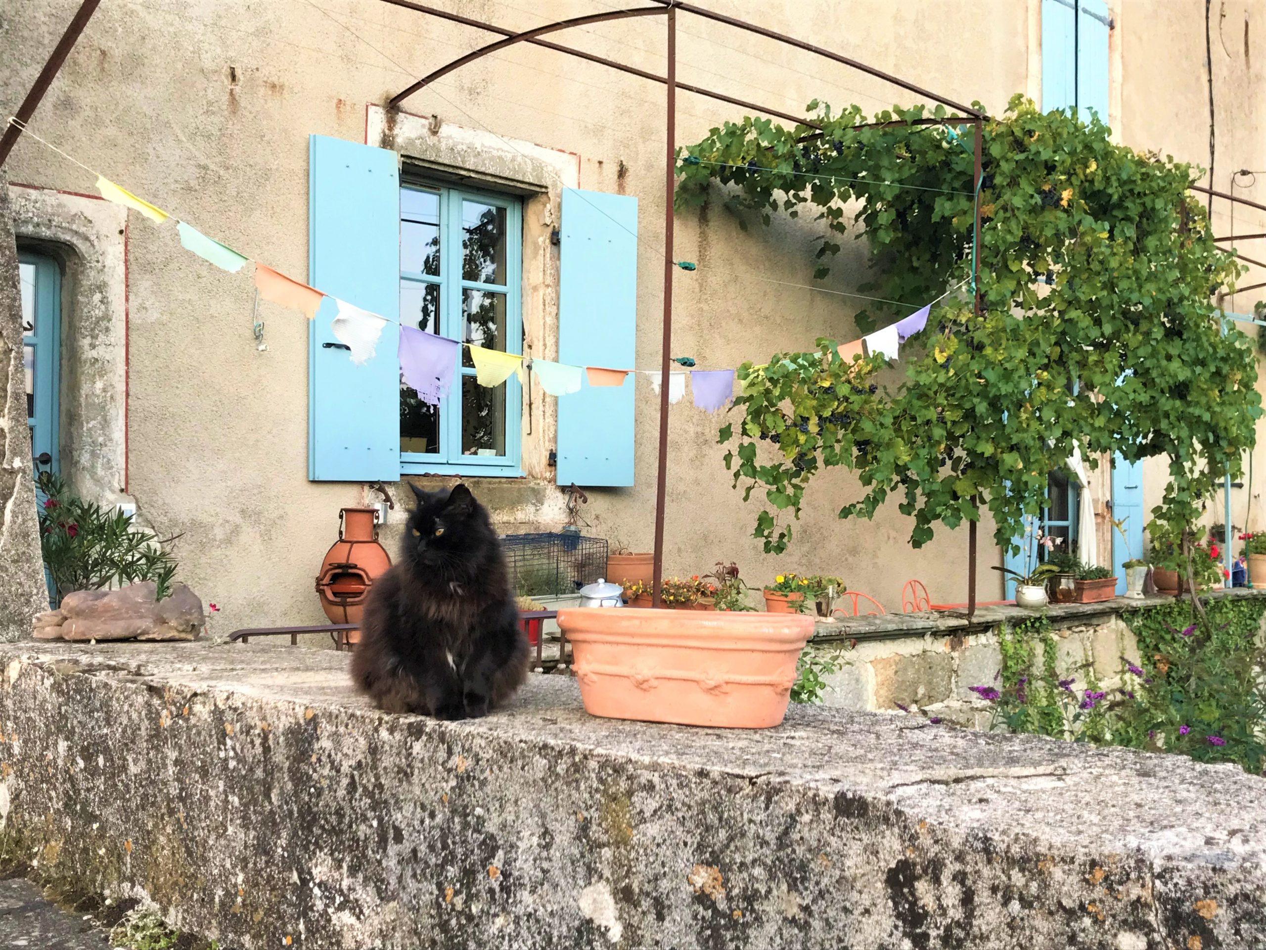 la mascotte du domaine du Clip