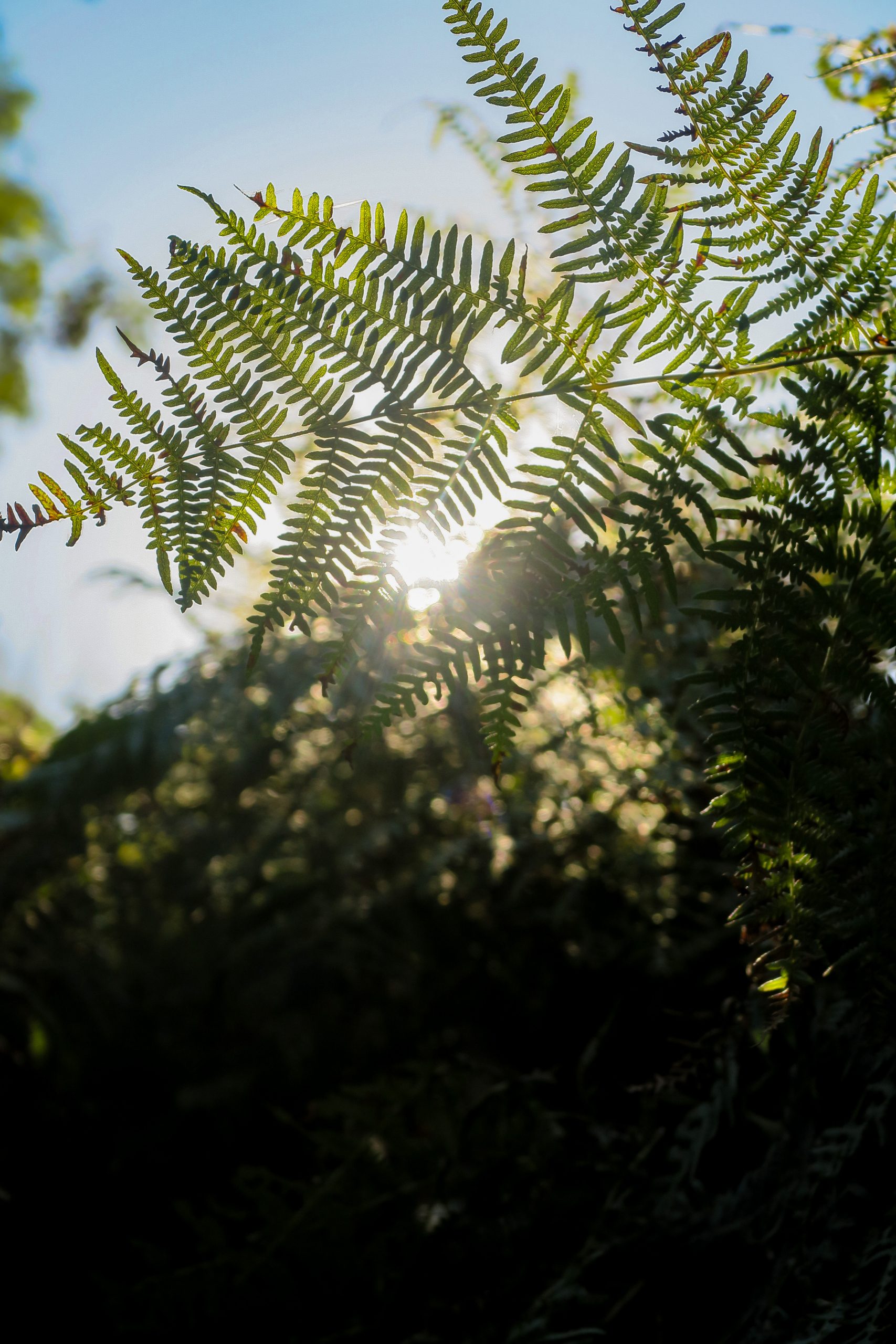 nature et territoires