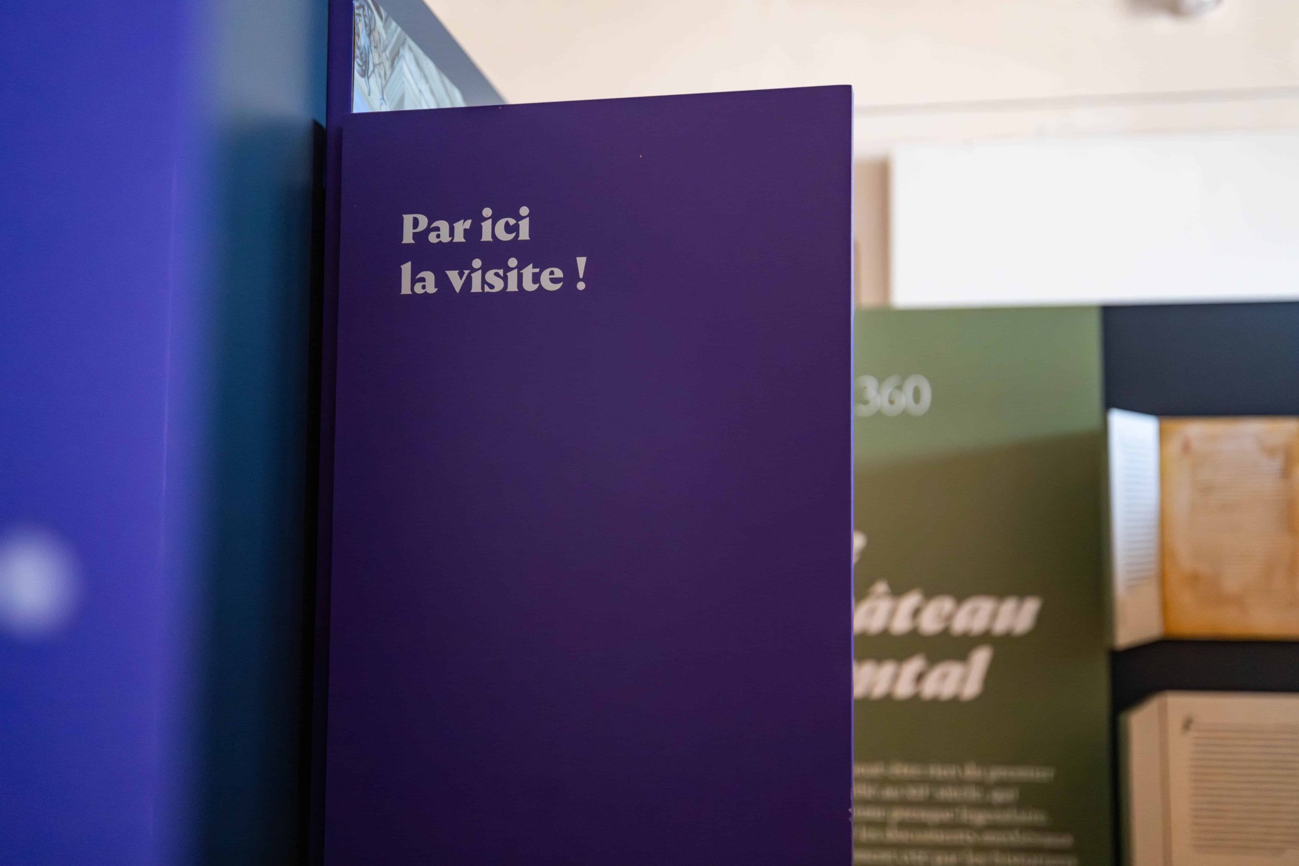 Musée Ingres Bourdelle par ici la visite