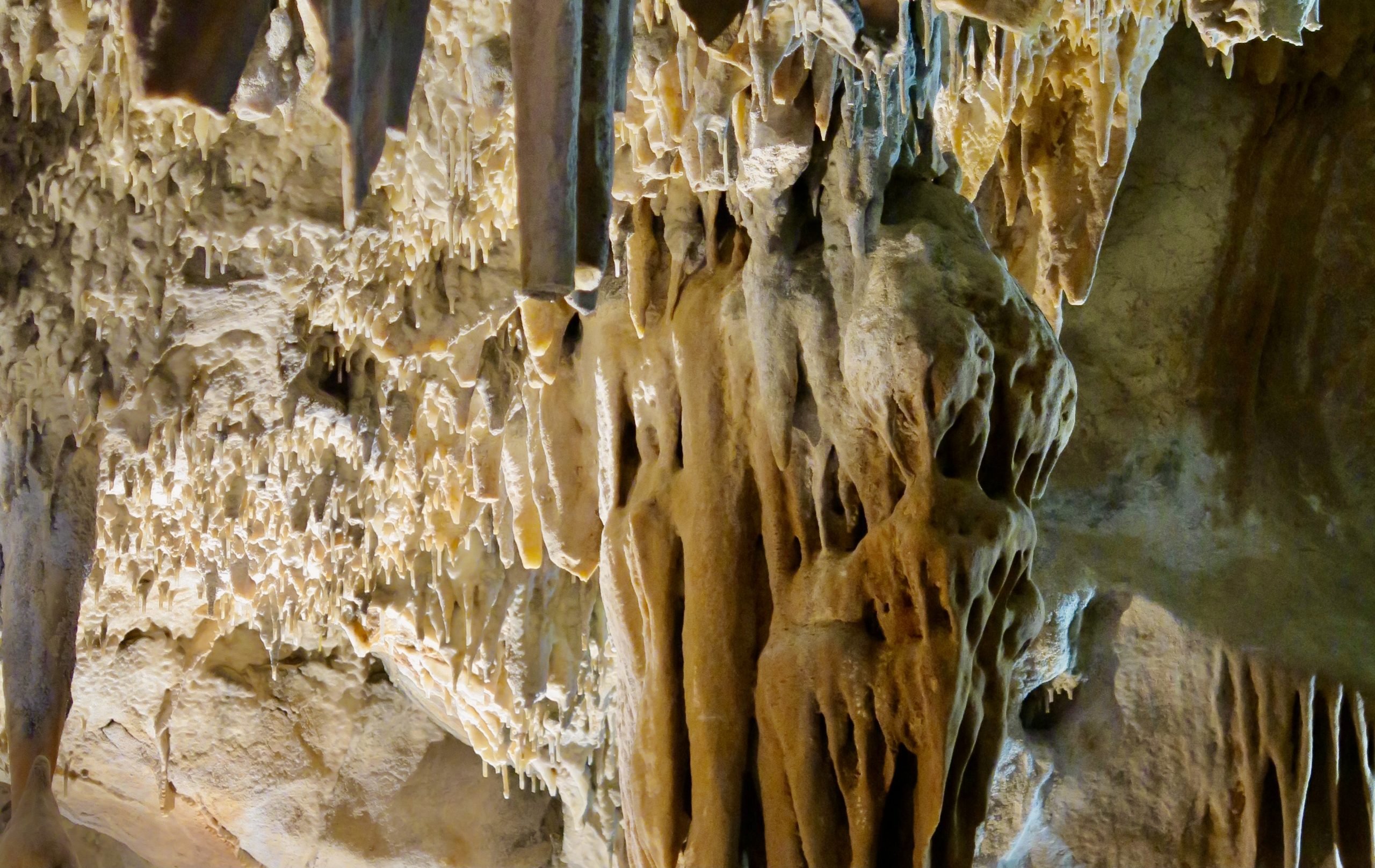 préhistoire ardeche grotte