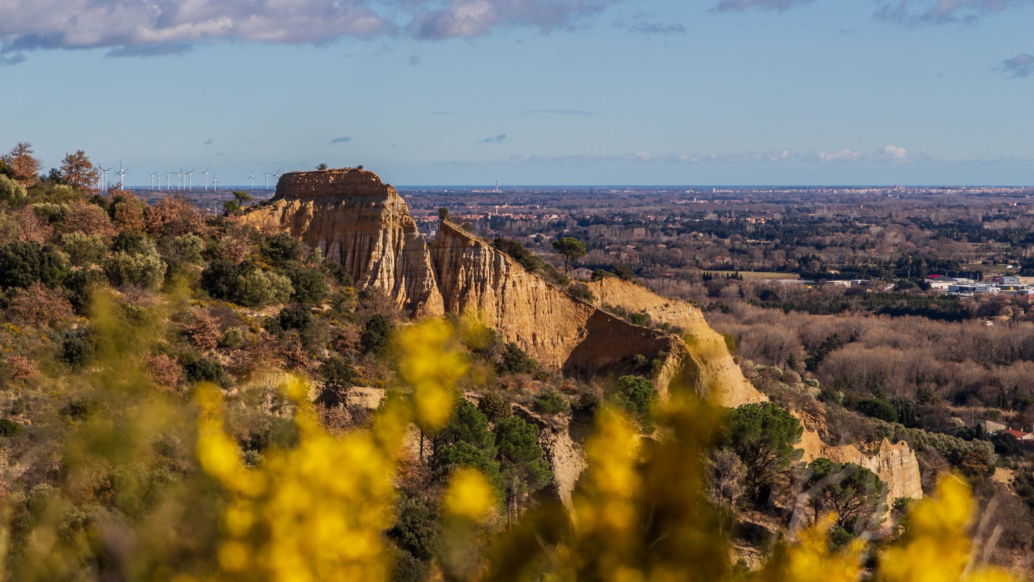 orgues d'ille sur tet