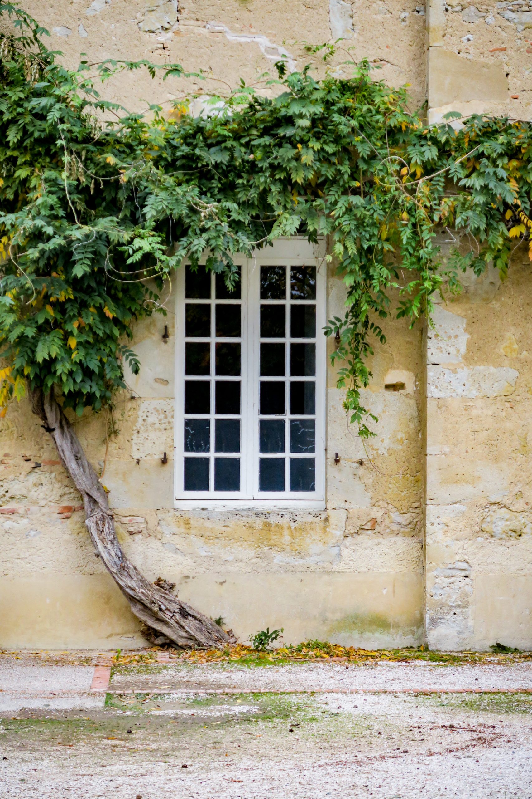 visiter le Gers et l'abbaye de Boulaur sud du Gers