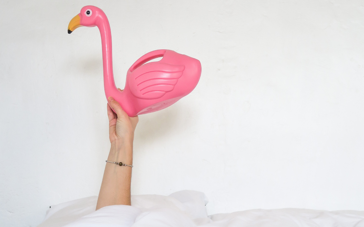 bucket list des choses les plus folles à faire dans sa vie