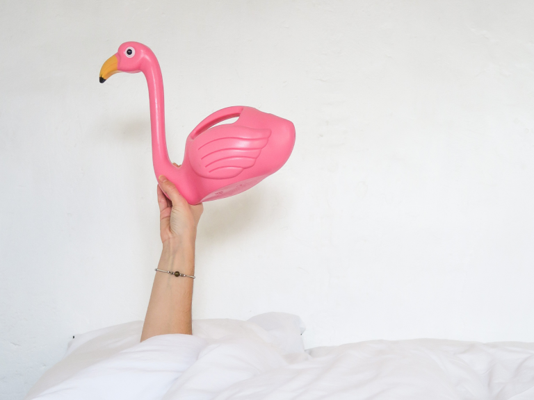 bucket list des choses les plus folles à faire dans sa vie