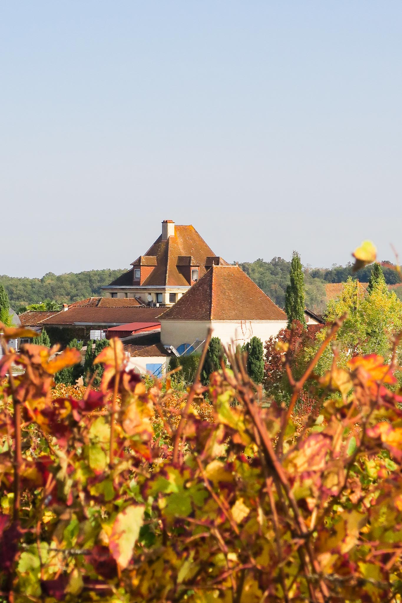 château bouscassé domaines brumont