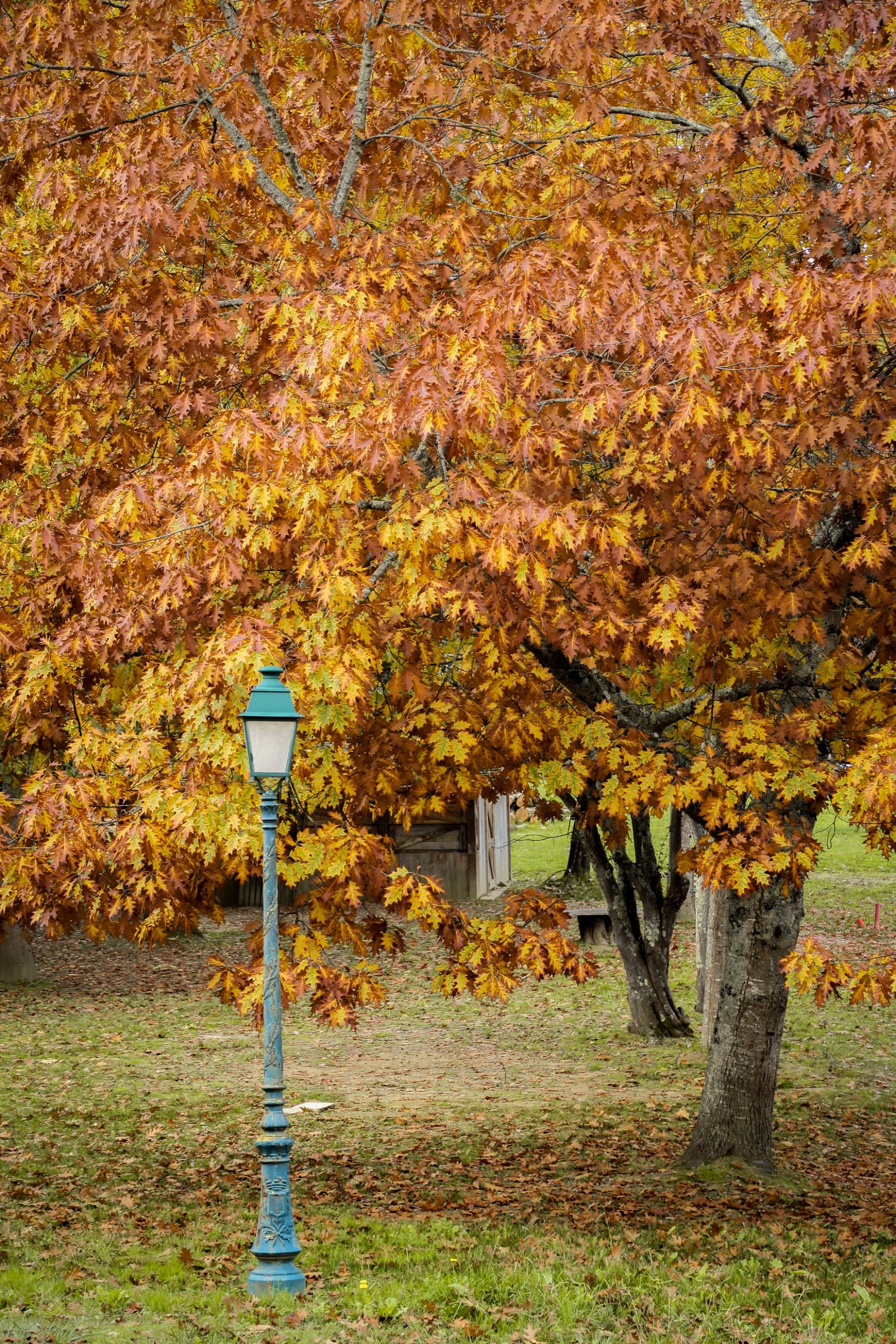 la tour de termes d'Armagnac gers