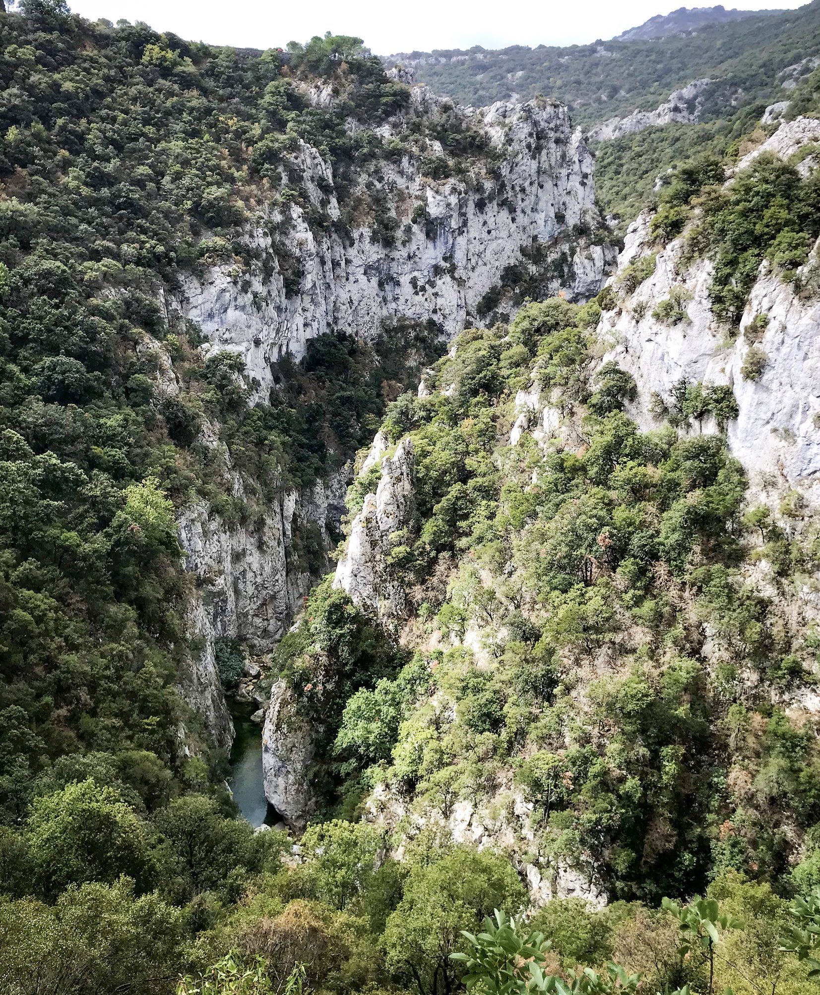 les gorges de galamus fenouillèdes