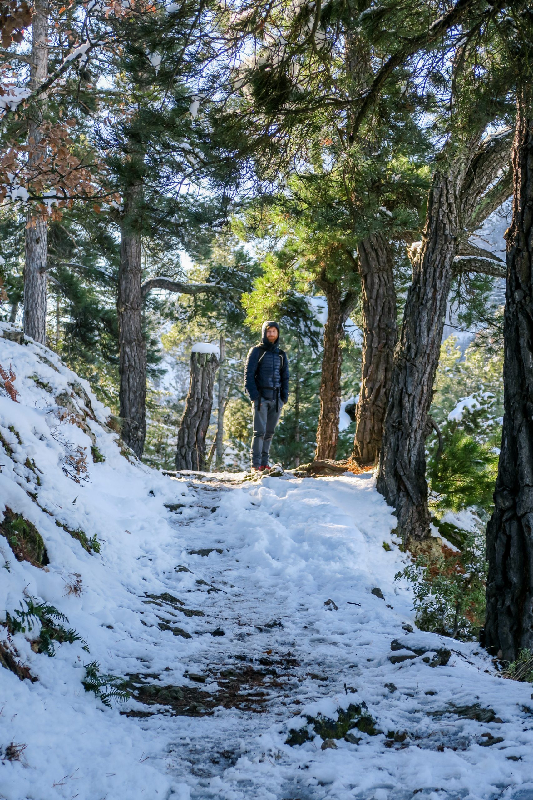 randonnée pic alzina pyrénées orientales