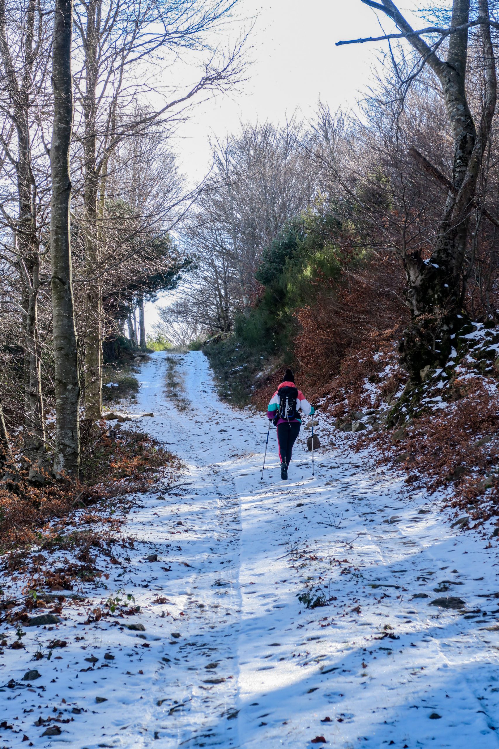 sentier du pic des salines hiver