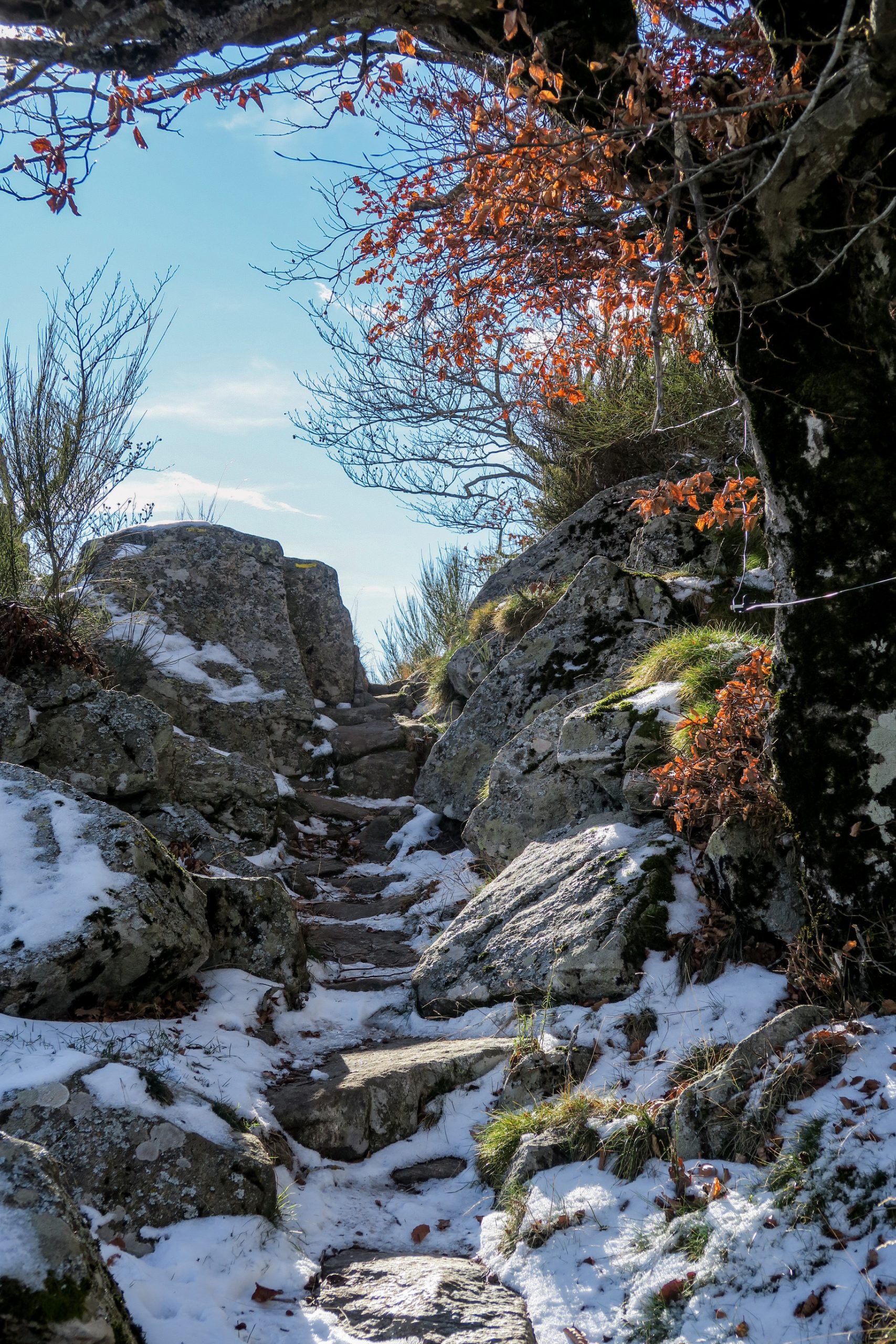 sentier pic des salines et crêts de céret