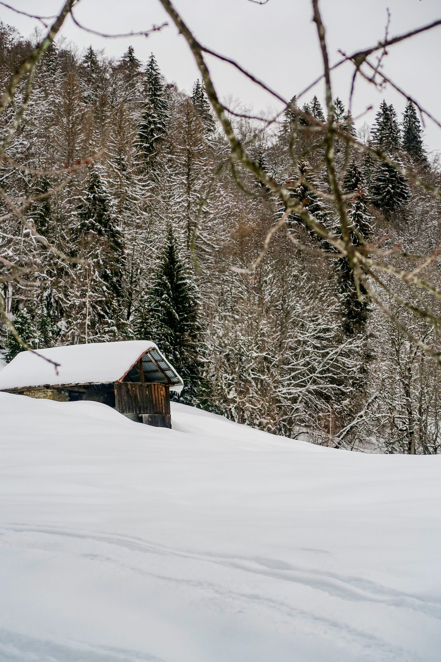 chalet de montagne pays albertville