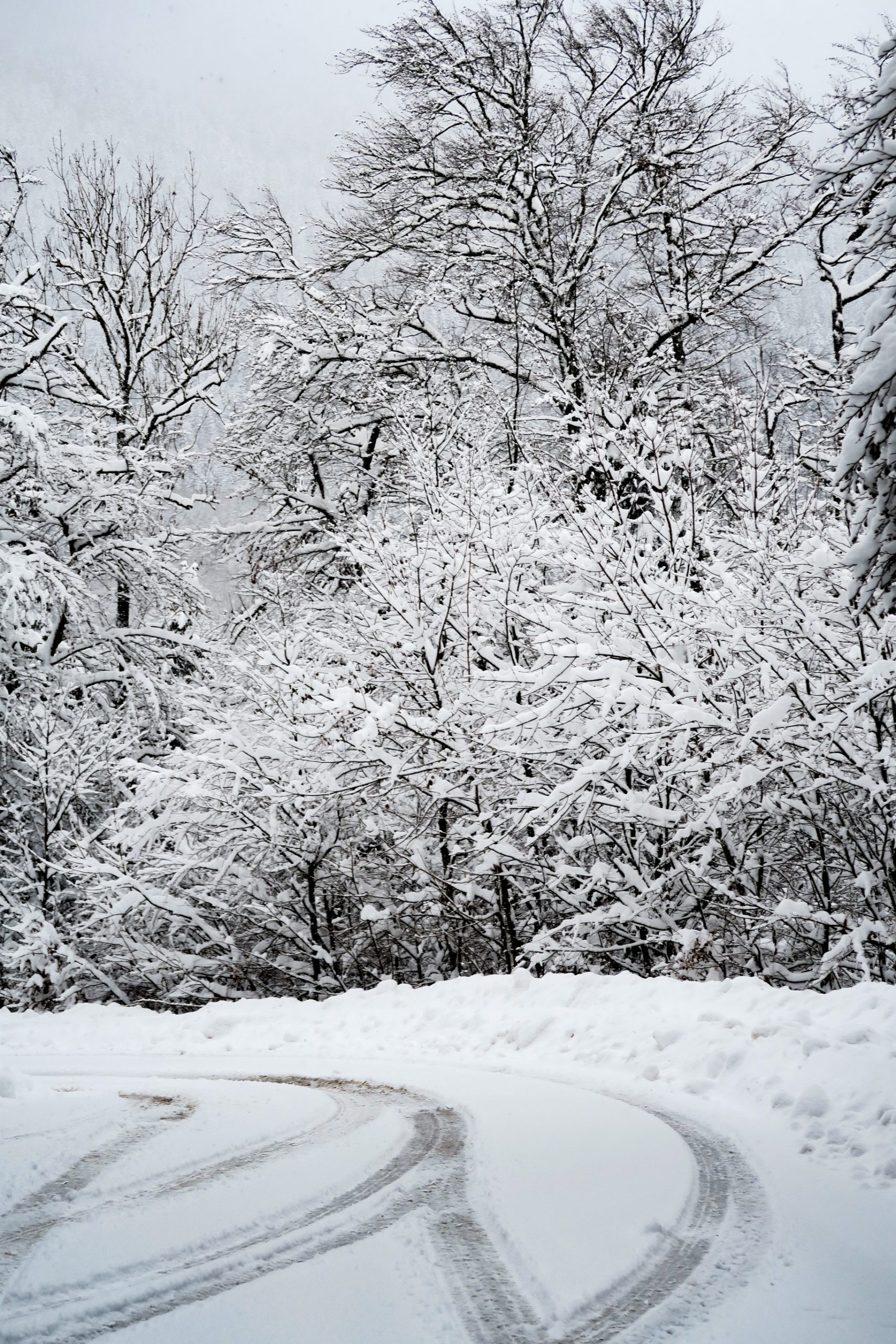 route du fort de tamié en hiver