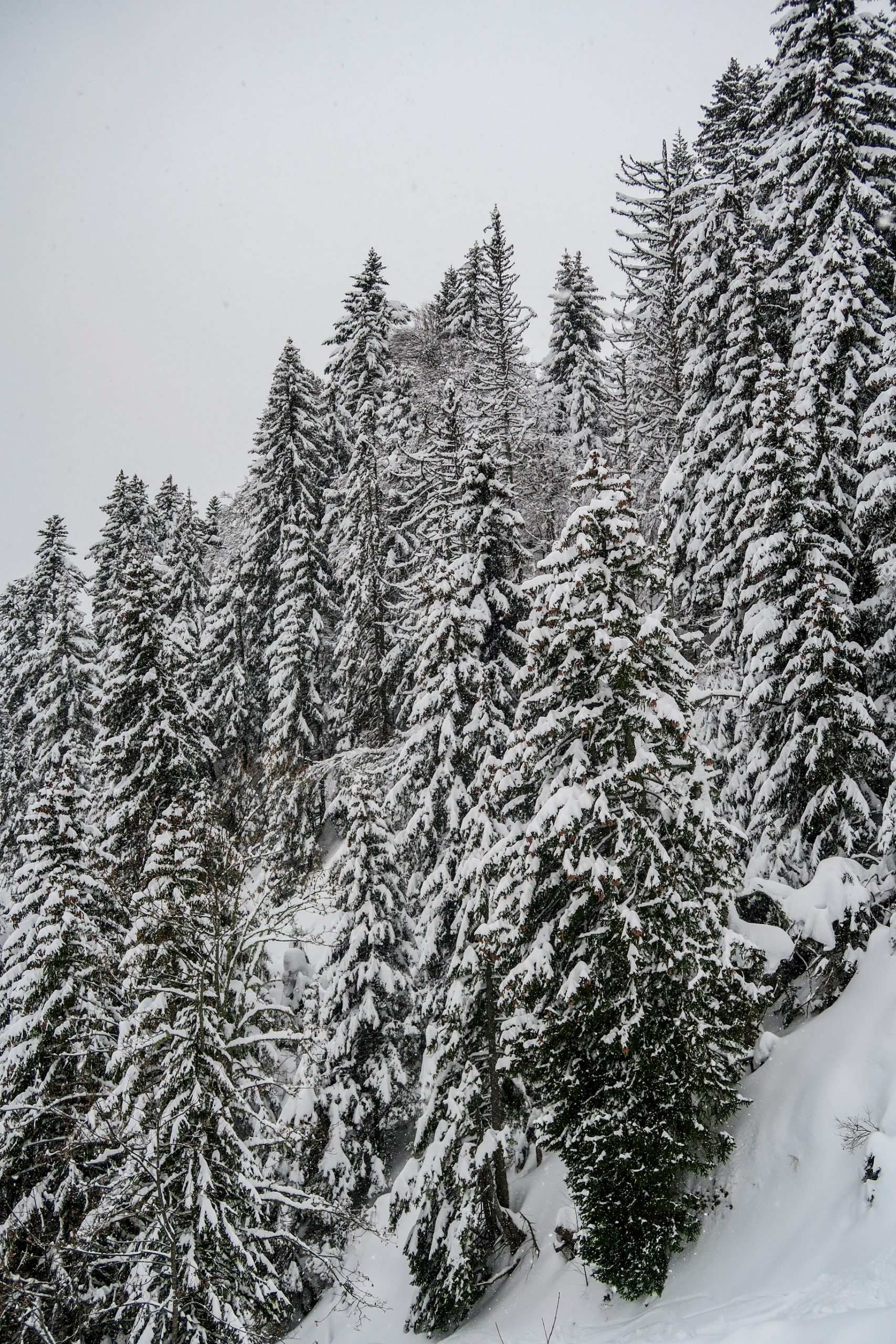 savoie pays albertville blog kikimagtravel