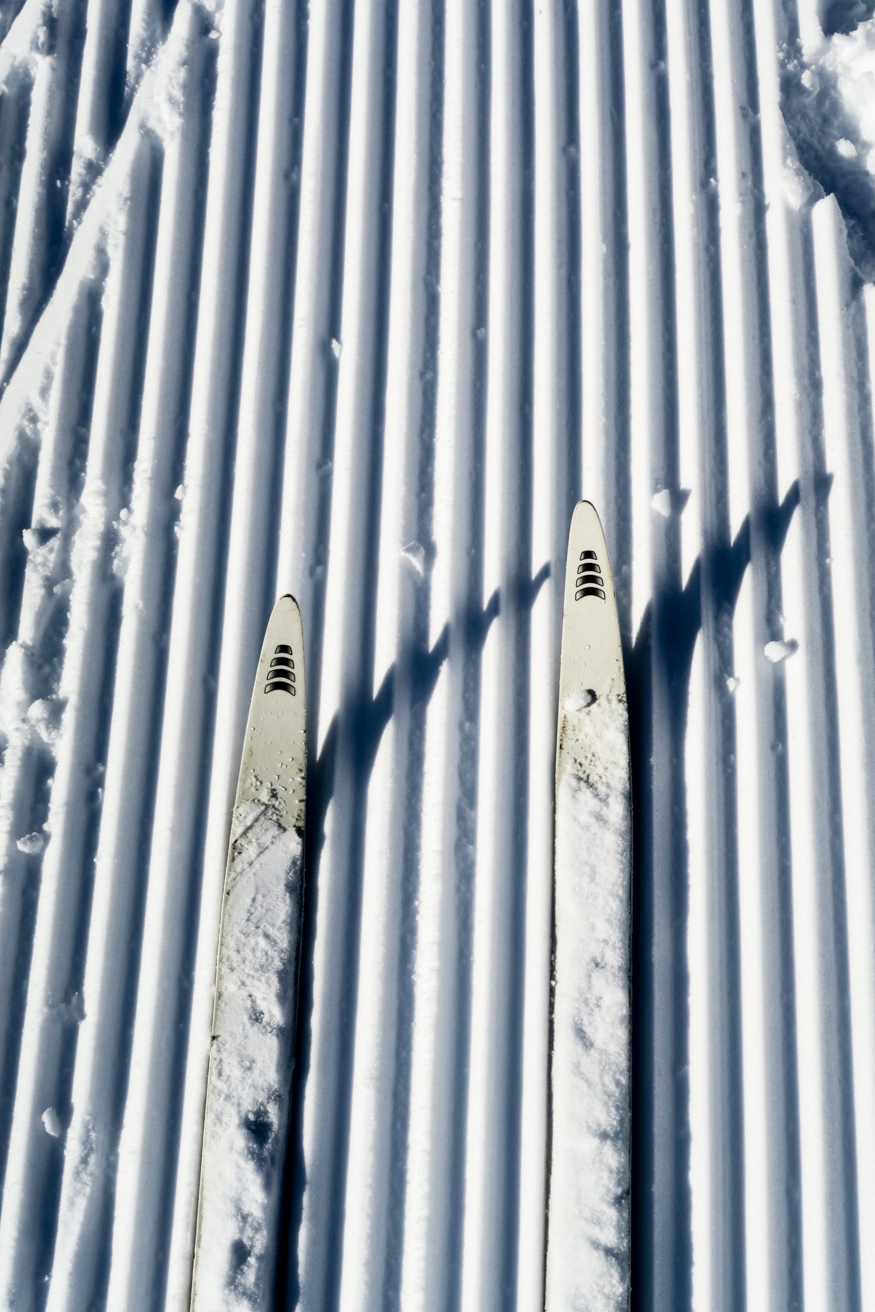 ski de fond pays albertville