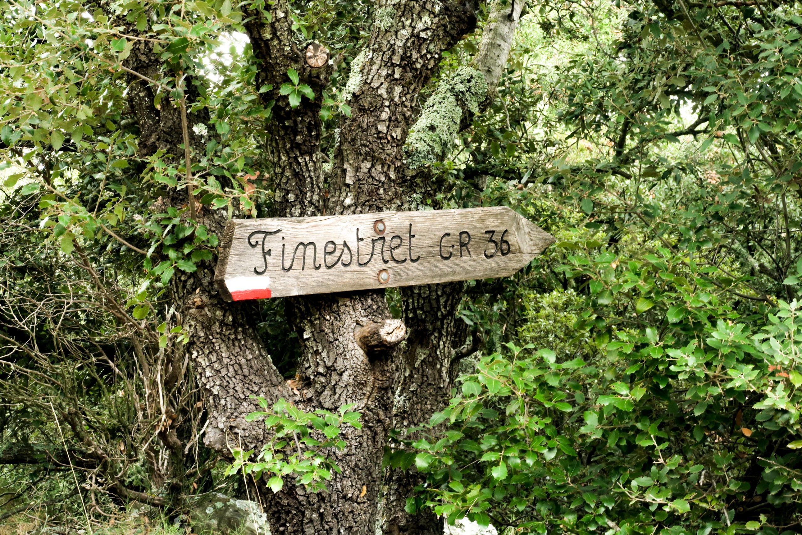 finestret pic marbet blog kikimagtravel