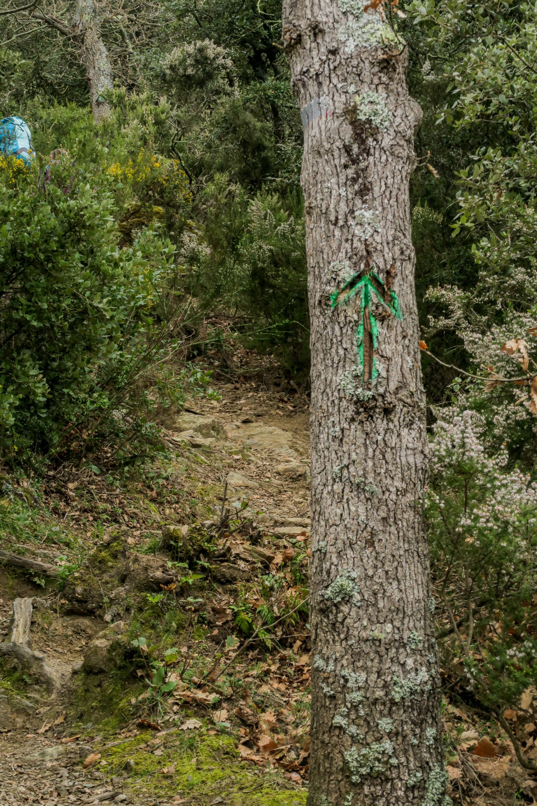 sentier de randonnée pic marbet