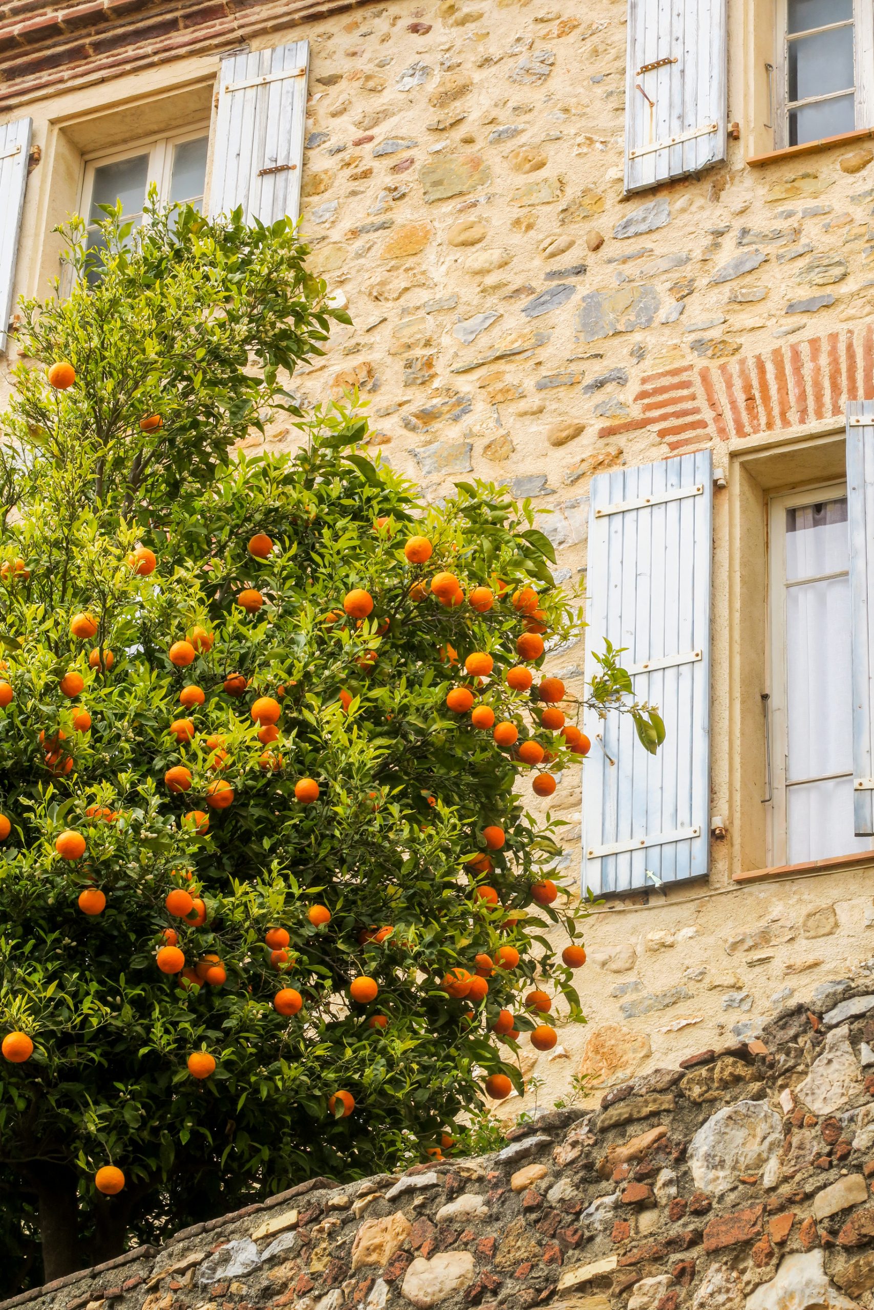 village de baixas église de sainte marie
